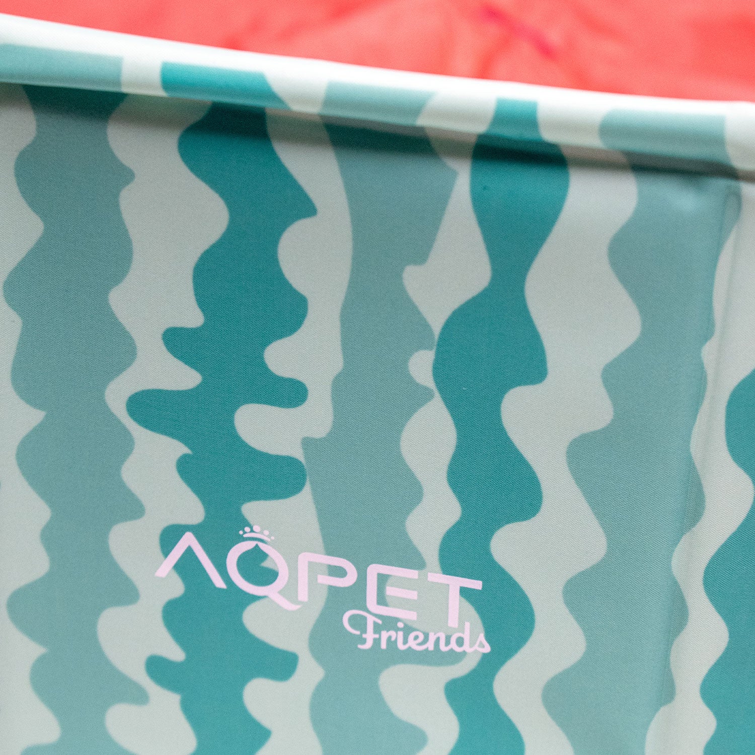 AQPET FRIENDS POOL PISCINA CANE - FRUIT