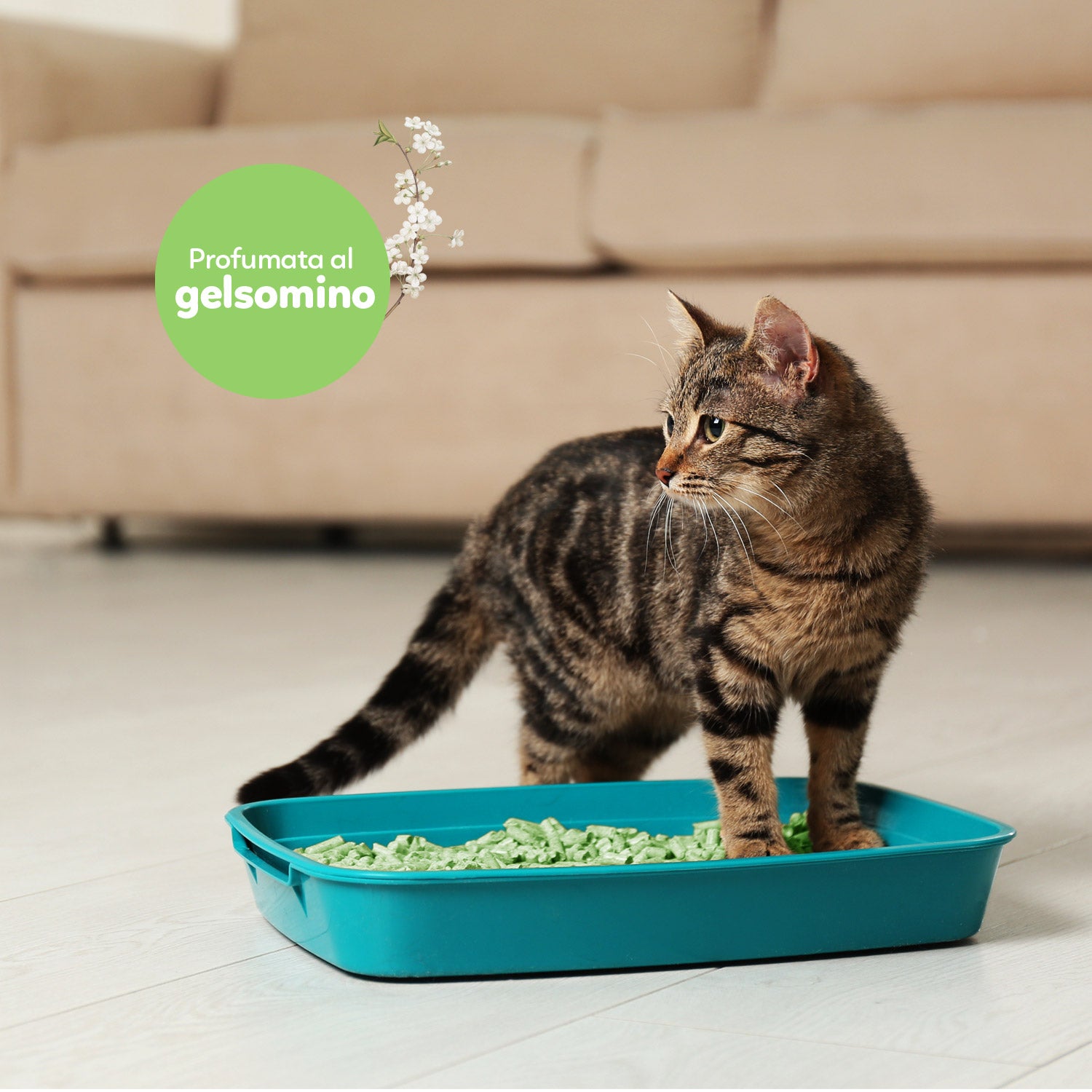 AQPET FRIENDS CATTY GREEN LETTIERA ALLA SOIA PROFUMAZIONE GELSOMINO 6LT