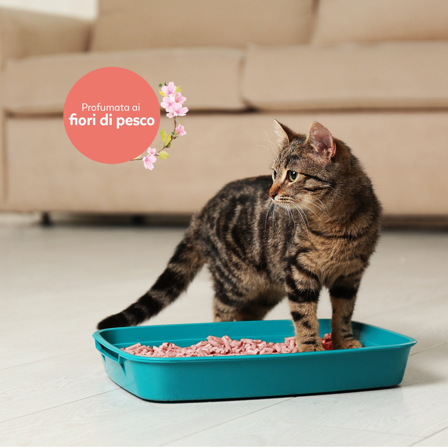 AQPET FRIENDS CATTY GREEN LETTIERA ALLA SOIA PROFUMAZIONE FIORI DI PESCO 6LT