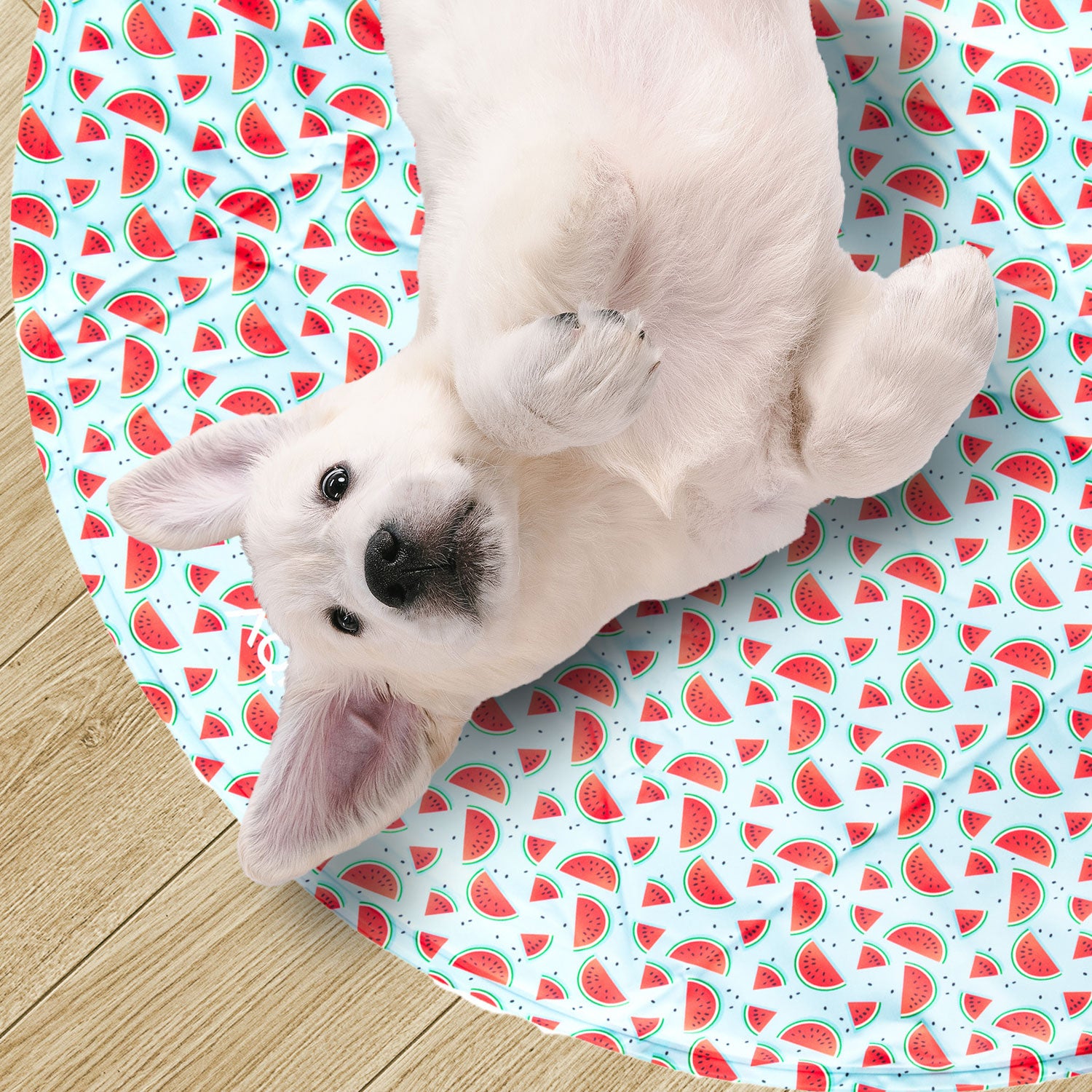 AQPET FRIENDS FRESH ROUND REFRIGERANTE 60 CM DIAMETRO - FRUIT