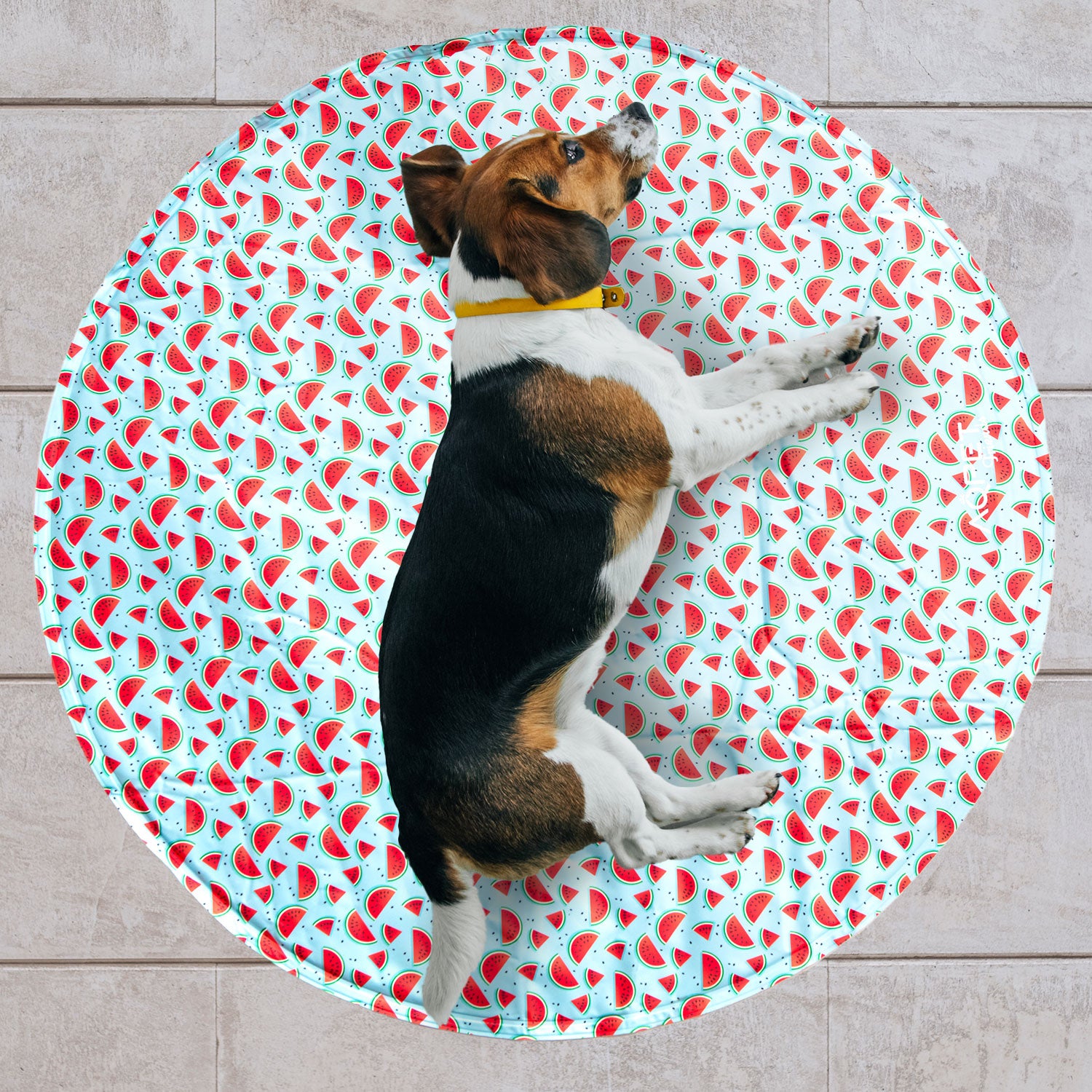 AQPET FRIENDS FRESH ROUND REFRIGERANTE 60 CM DIAMETRO - FRUIT