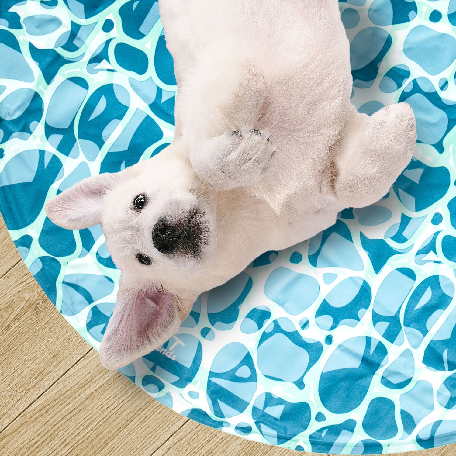 AQPET FRIENDS FRESH ROUND REFRIGERANTE 60 CM DIAMETRO - SEA