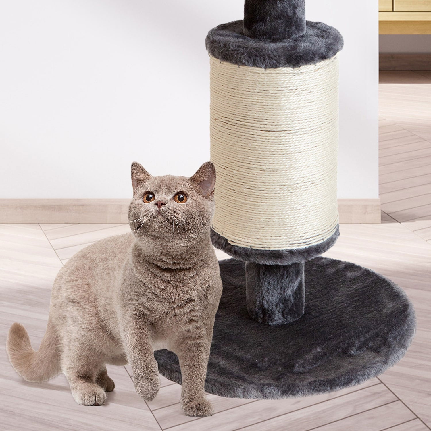 AQPET FRIENDS SCRATCHING POST DUBLIN 39X39X58 CM