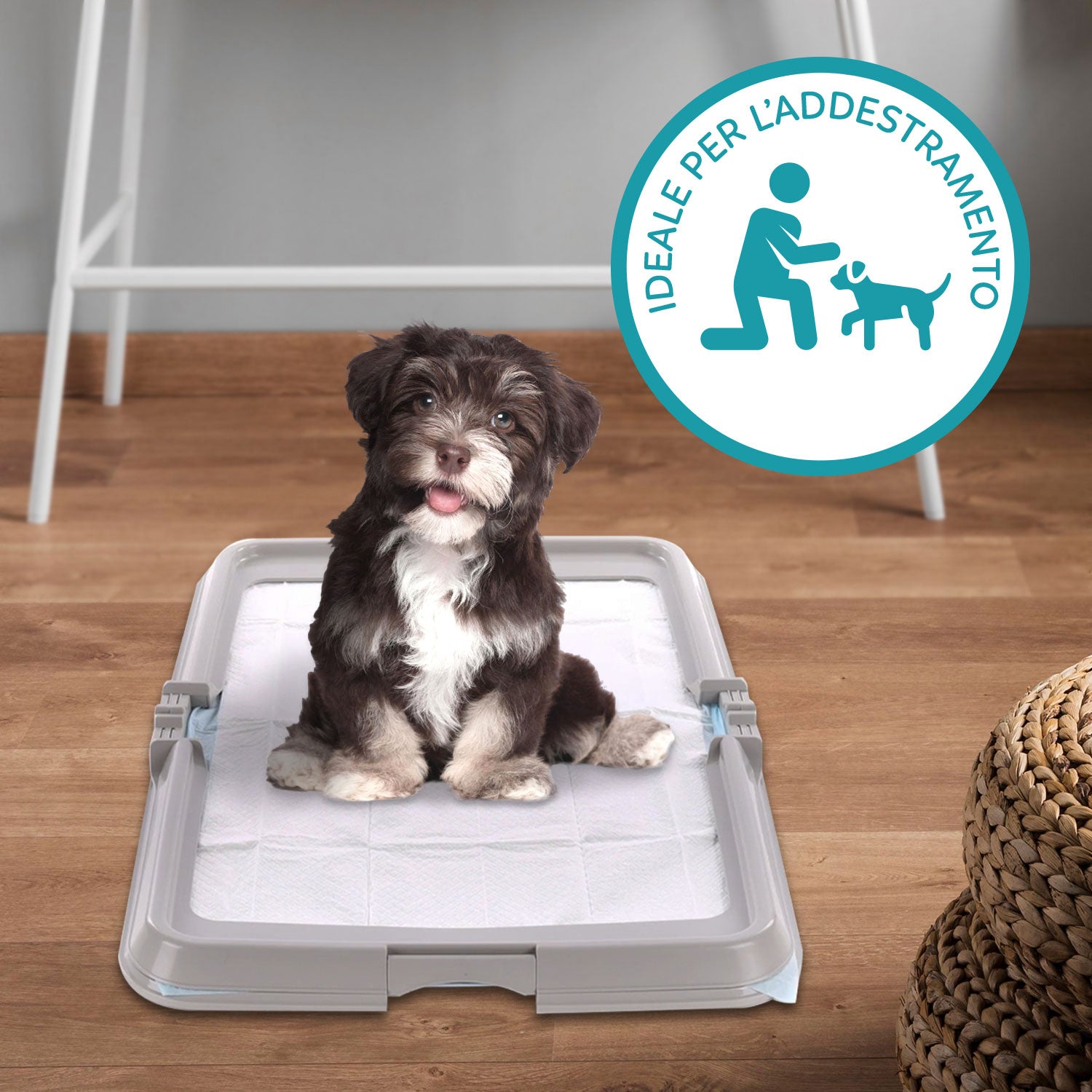 AQPET FRIENDS BAUBOX LETTIERA PIEGHEVOLE PER CANI 60X90 CM