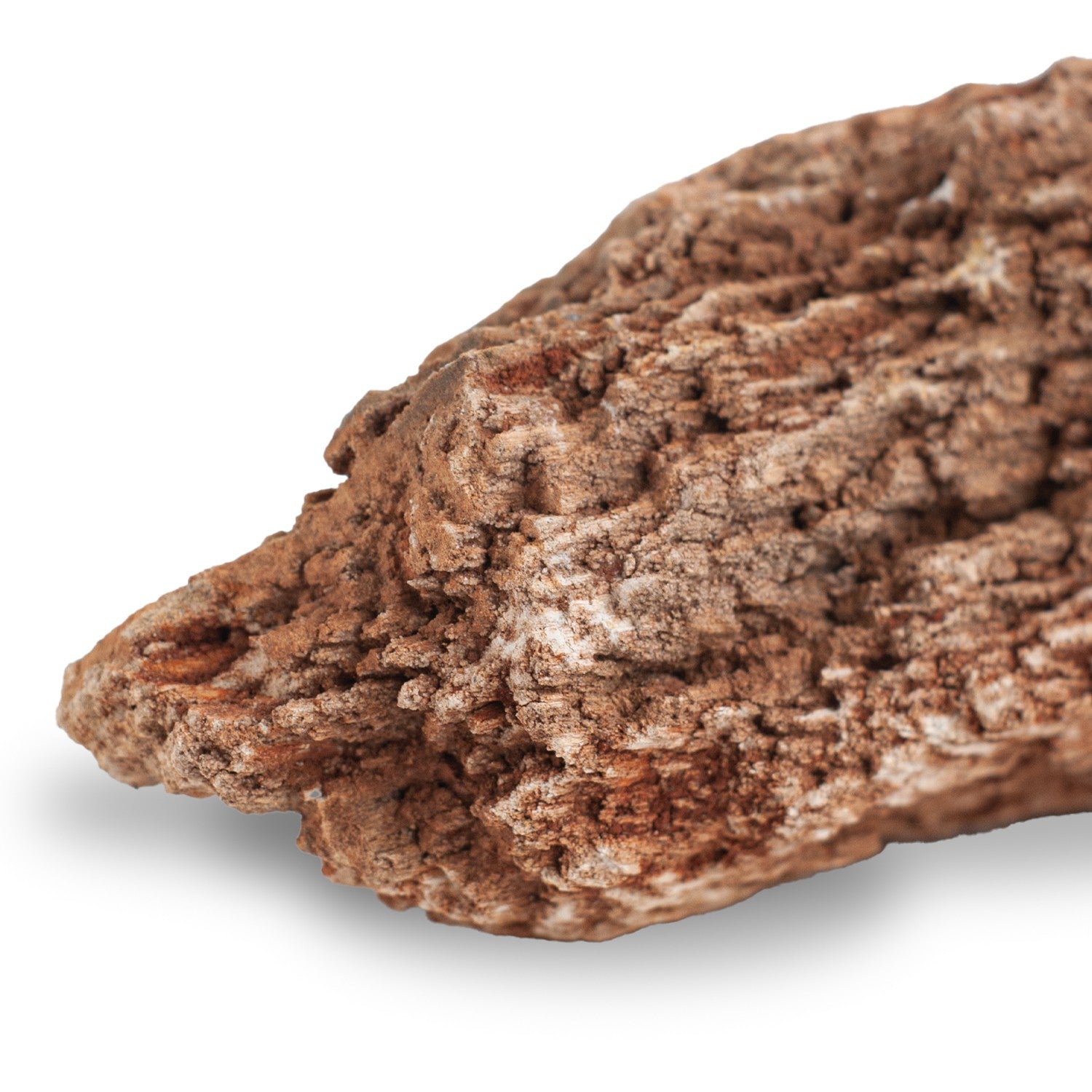 AQPET ZEN STONE ROCCE RED WOOD FOSSIL (CONF. 20KG MIXED)