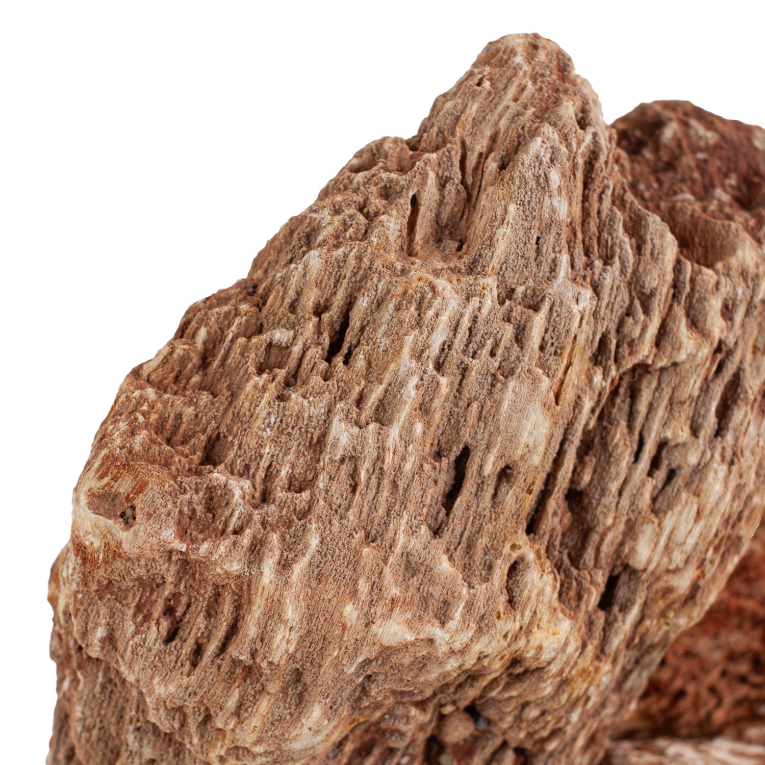 AQPET ZEN STONE ROCKS RED WOOD FOSSIL (PACK 20KG MIXED)