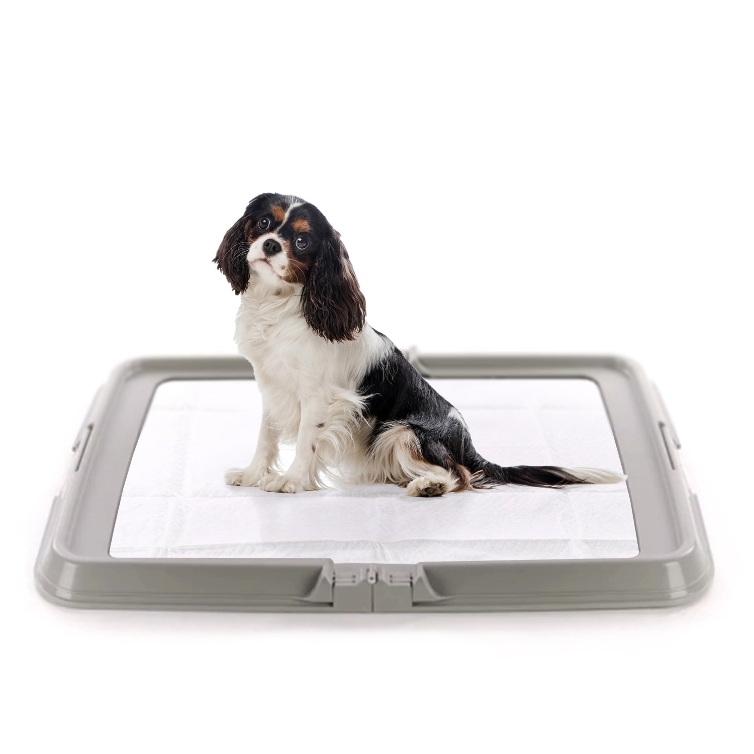 AQPET FRIENDS BAUBOX LETTIERA PIEGHEVOLE PER CANI 60X90 CM