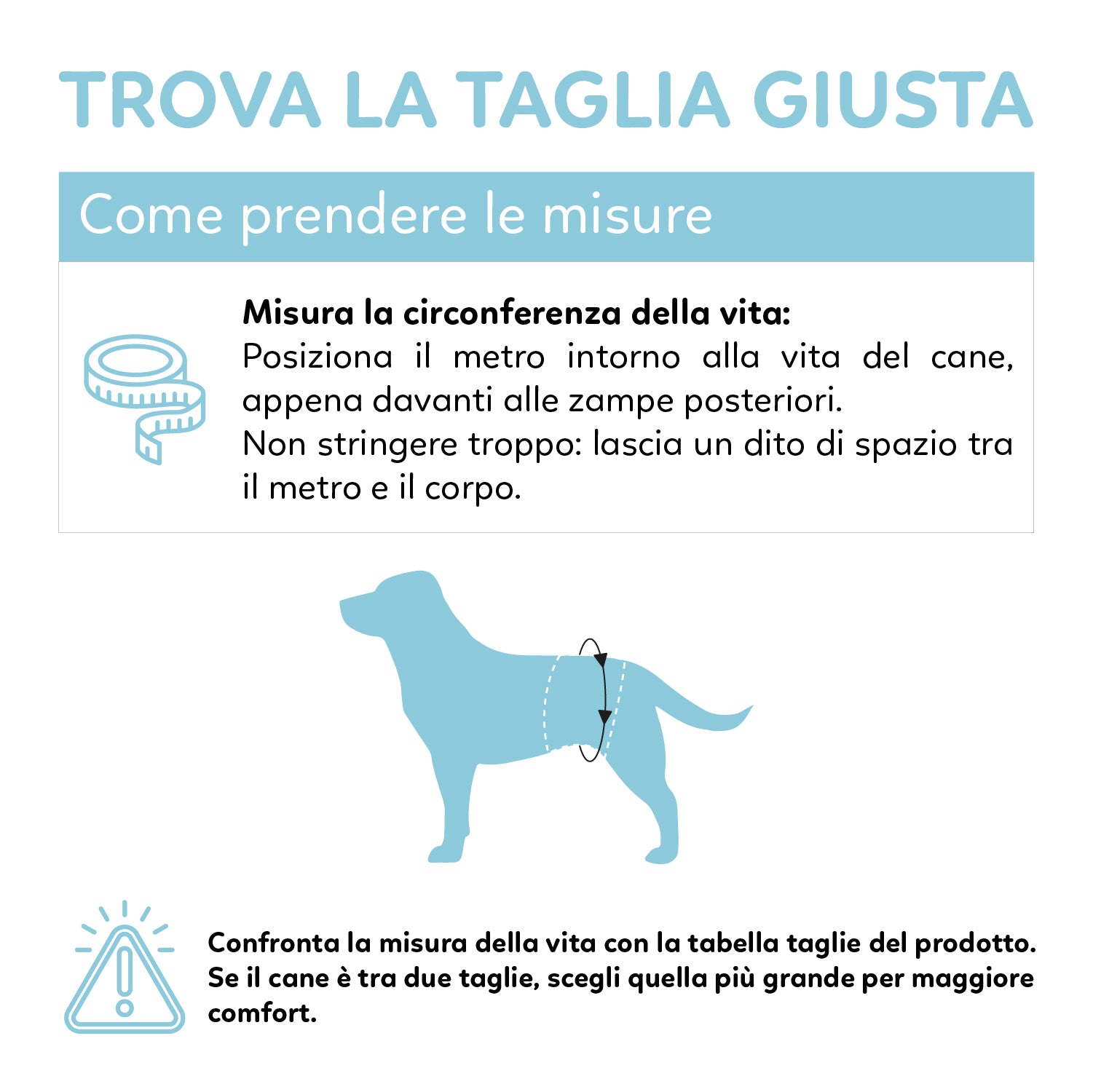 AQPET FRIENDS Nappy Slips Pannolini A Fascia Per Cani Maschi 36 Pezzi Assorbenti Igiene Quotidiana