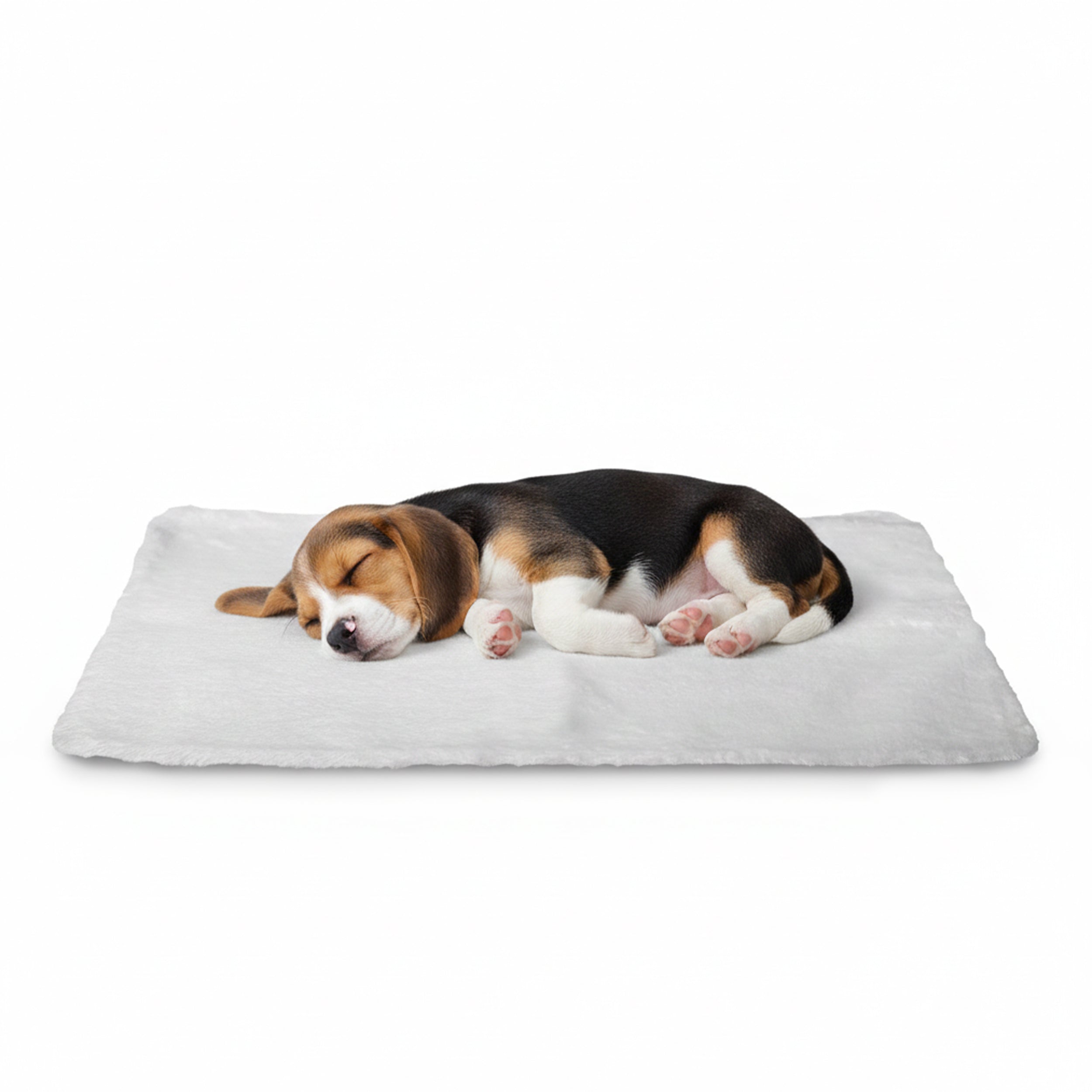 AQPETFRIENDS BILLY TAPPETINO AUTO RISCALDANTE