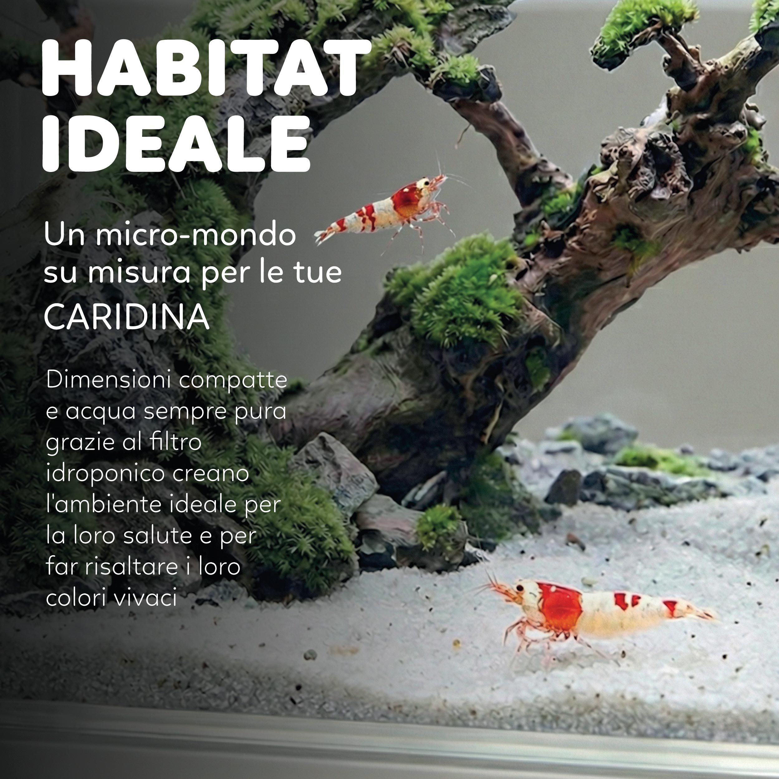 AQUAPET HYDO DESKTOP AQUARIUM DOCK STATION