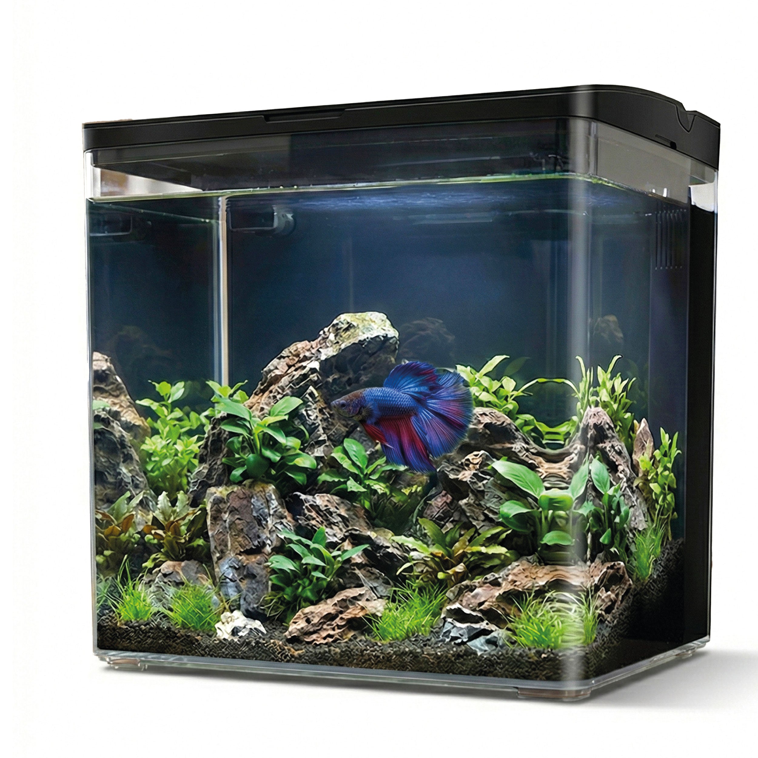 AQPET NEYA ACQUARIO DA SCRIVANIA NERO