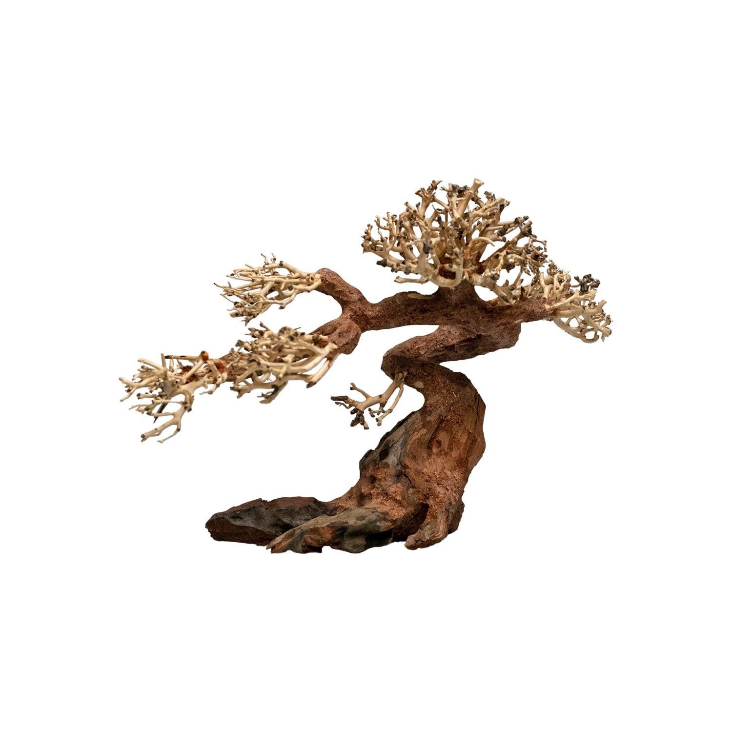 AQPET ZEN BONSAI CLAW