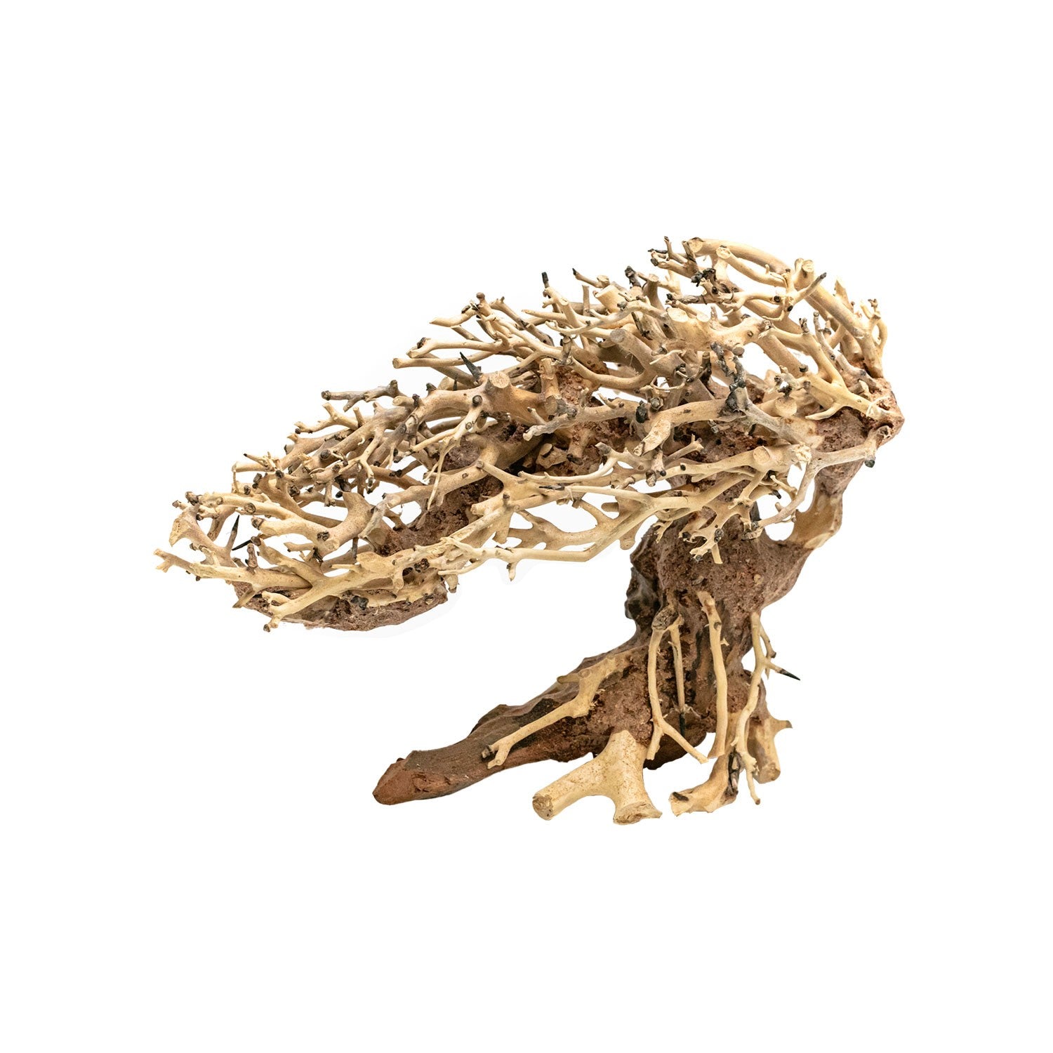 AQPET ZEN BONSAI ROMANTIC