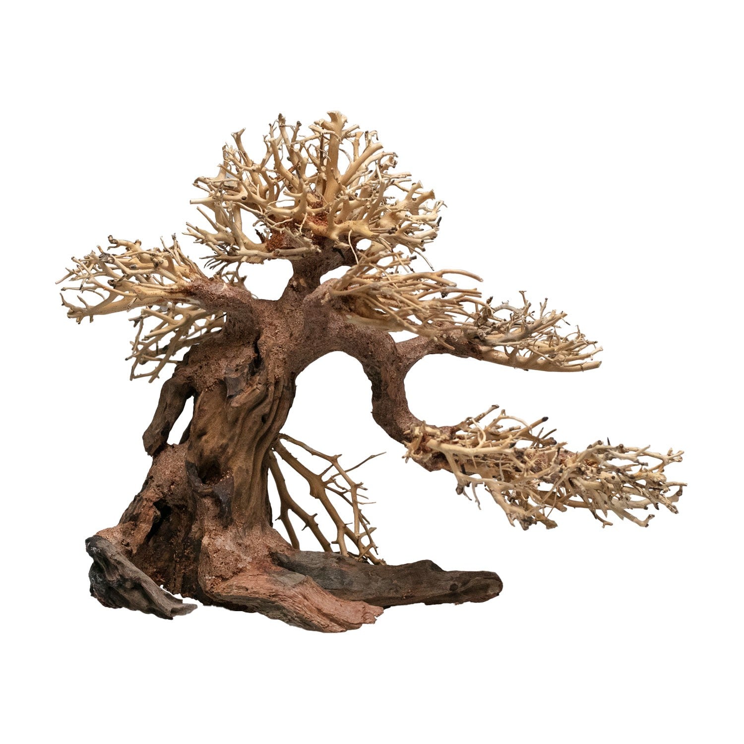 AQPET ZEN BONSAI WOOD