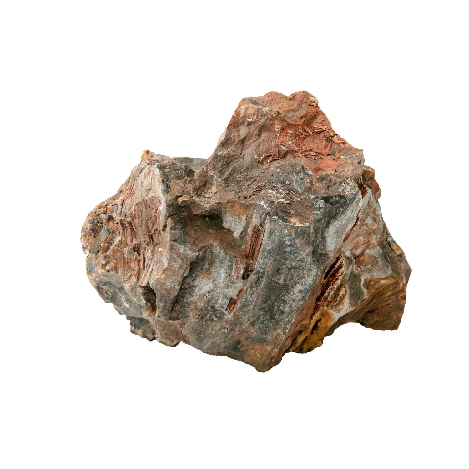 AQPET ZEN STONE ROCCE WOOD FOSSIL (CONF.20KG MIXED) 300GR /3 KG