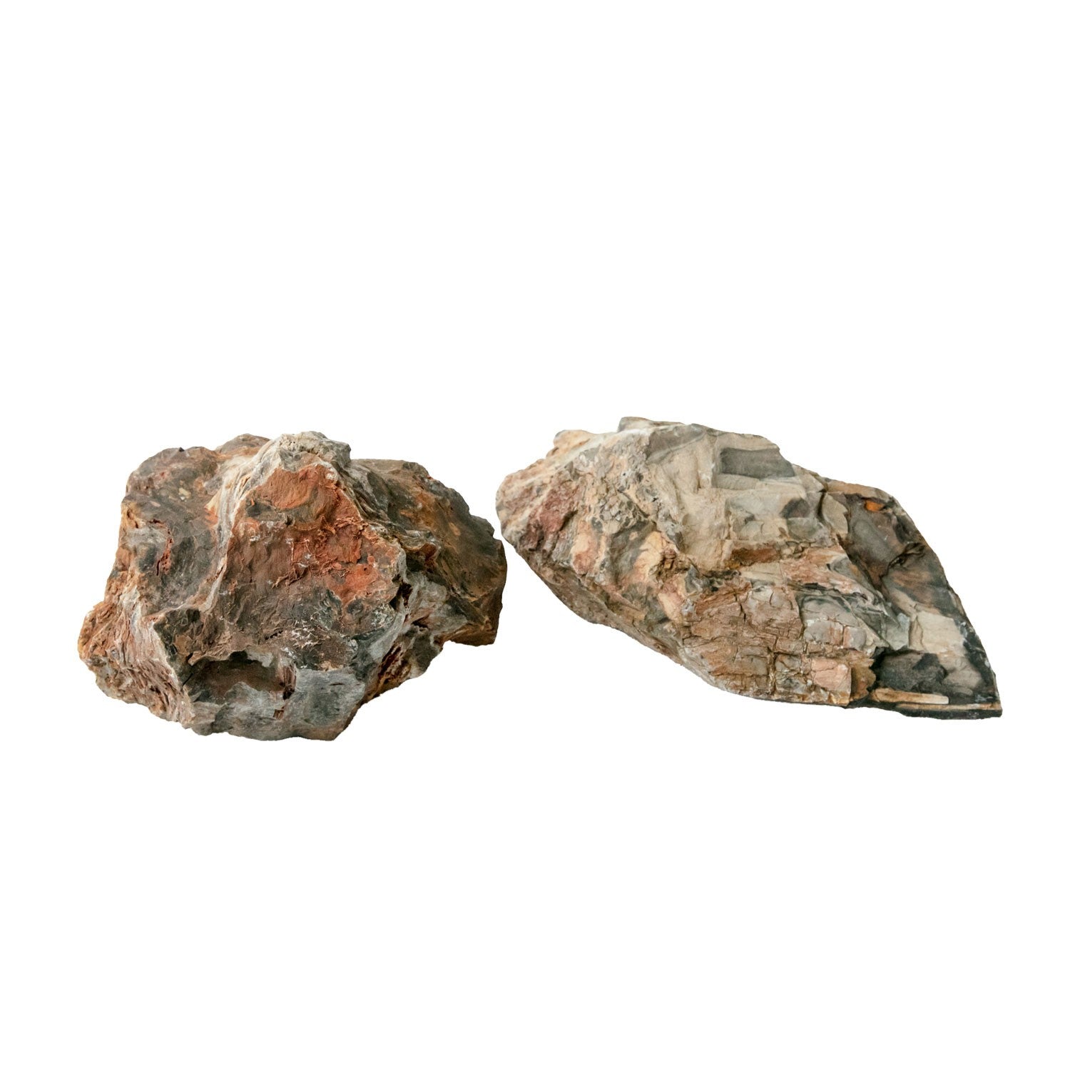 AQPET ZEN STONE ROCCE WOOD FOSSIL (CONF.20KG MIXED) 300GR /3 KG