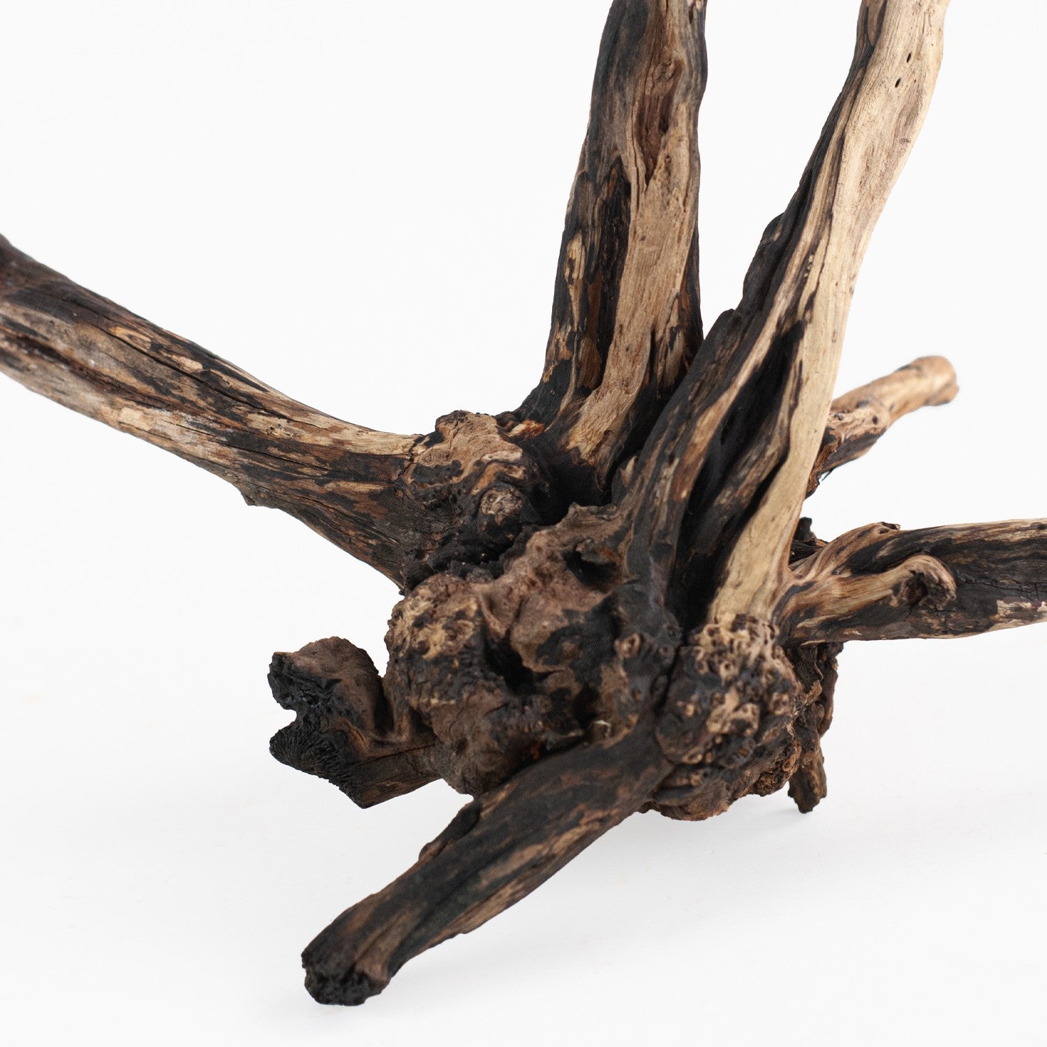 AQPET ZEN WOOD BLACK SLIM