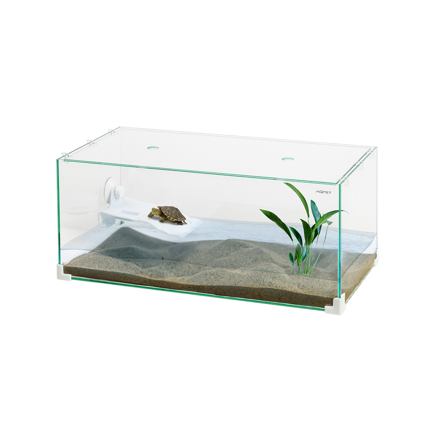 Tortuga 50 Glass Turtle Jar With Lid And Turtle Island