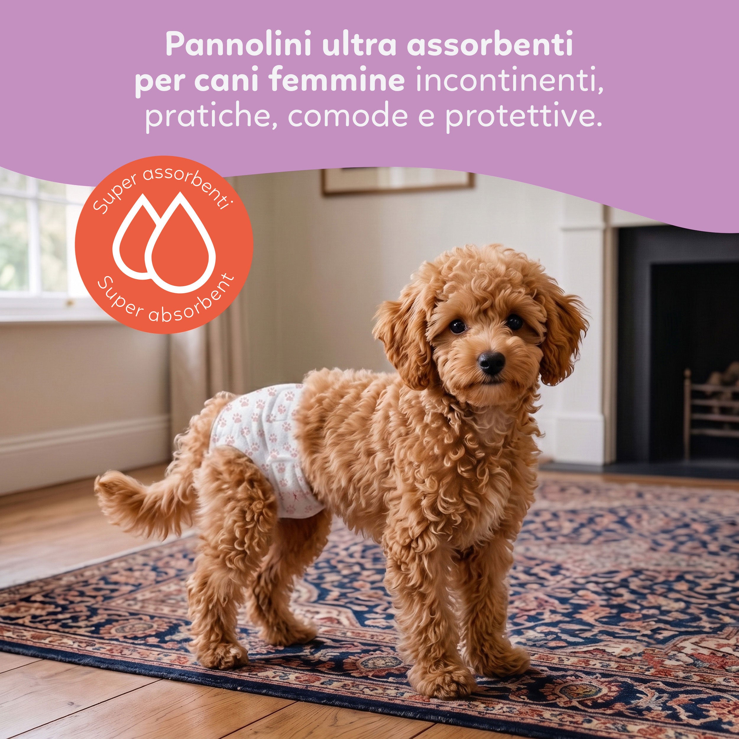 AQPET FRIENDS Nappy Panties Pannolini A Fascia Per Cani Femmina 30 Pezzi Assorbenti Igiene Quotidiana