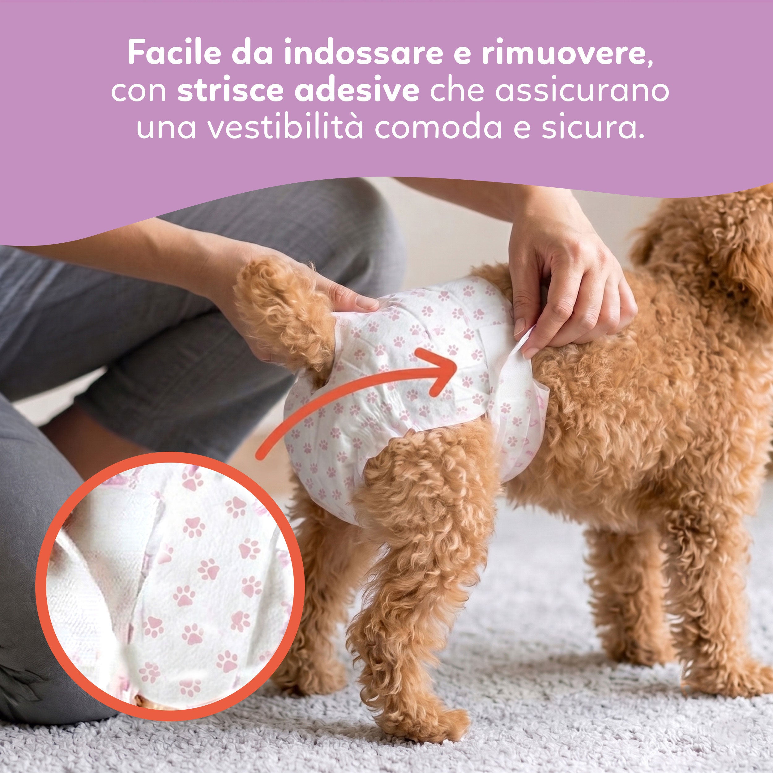 AQPET FRIENDS Nappy Panties Pannolini A Fascia Per Cani Femmina 30 Pezzi Assorbenti Igiene Quotidiana