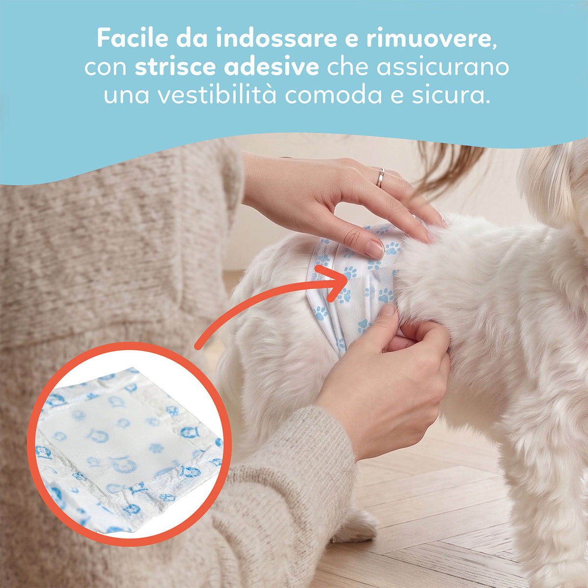 AQPET FRIENDS Nappy Slips Pañales de banda para perros machos 36 unidades Absorbentes Higiene diaria