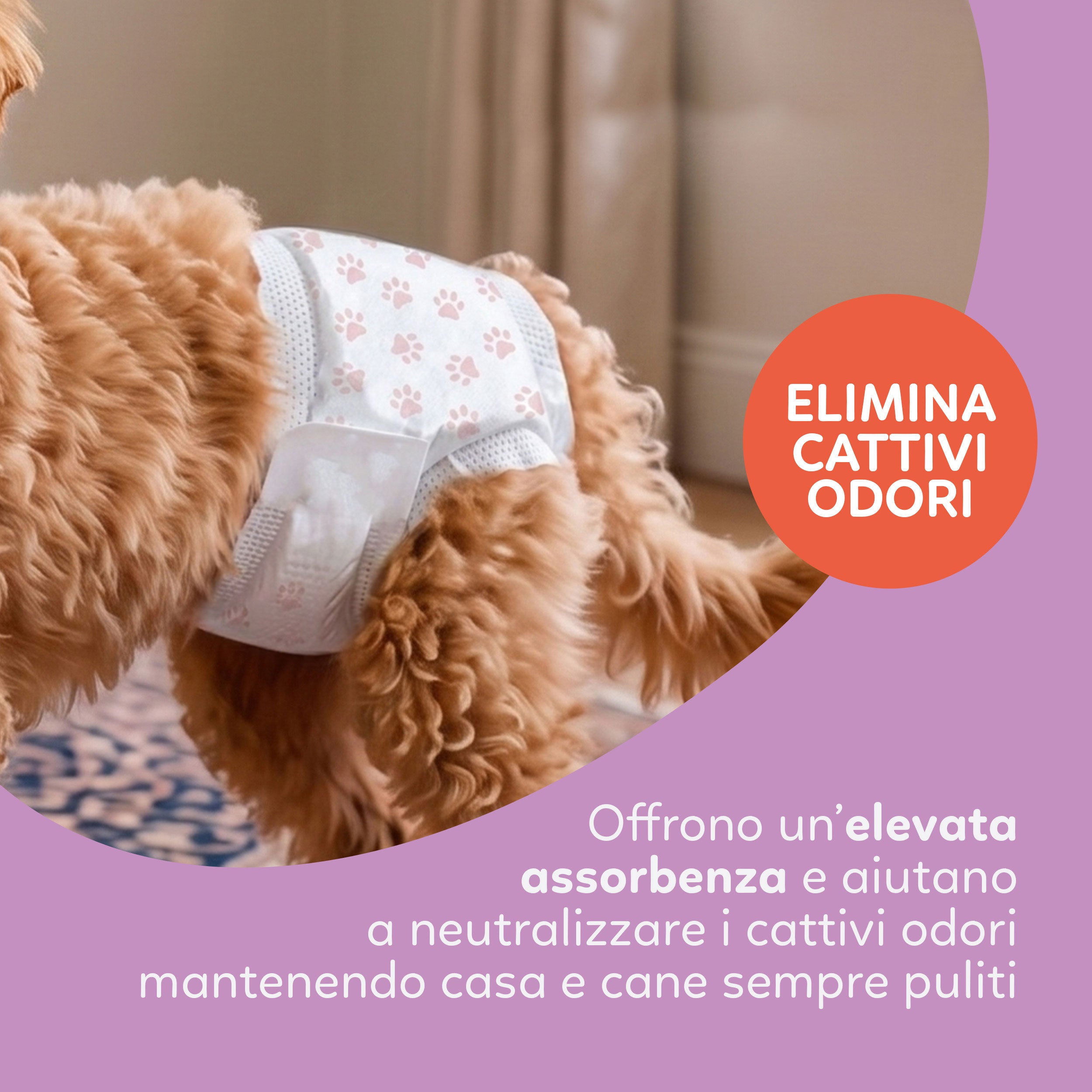 AQPET FRIENDS Nappy Panties Pannolini A Fascia Per Cani Femmina 30 Pezzi Assorbenti Igiene Quotidiana