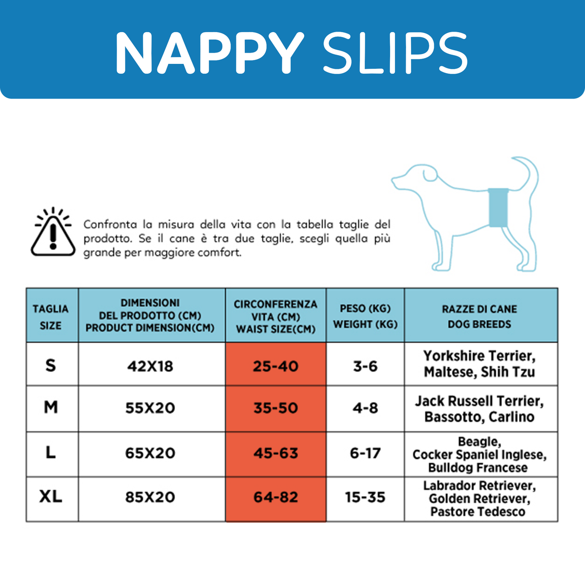 AQPET FRIENDS Nappy Slips Pañales de banda para perros machos 36 unidades Absorbentes Higiene diaria