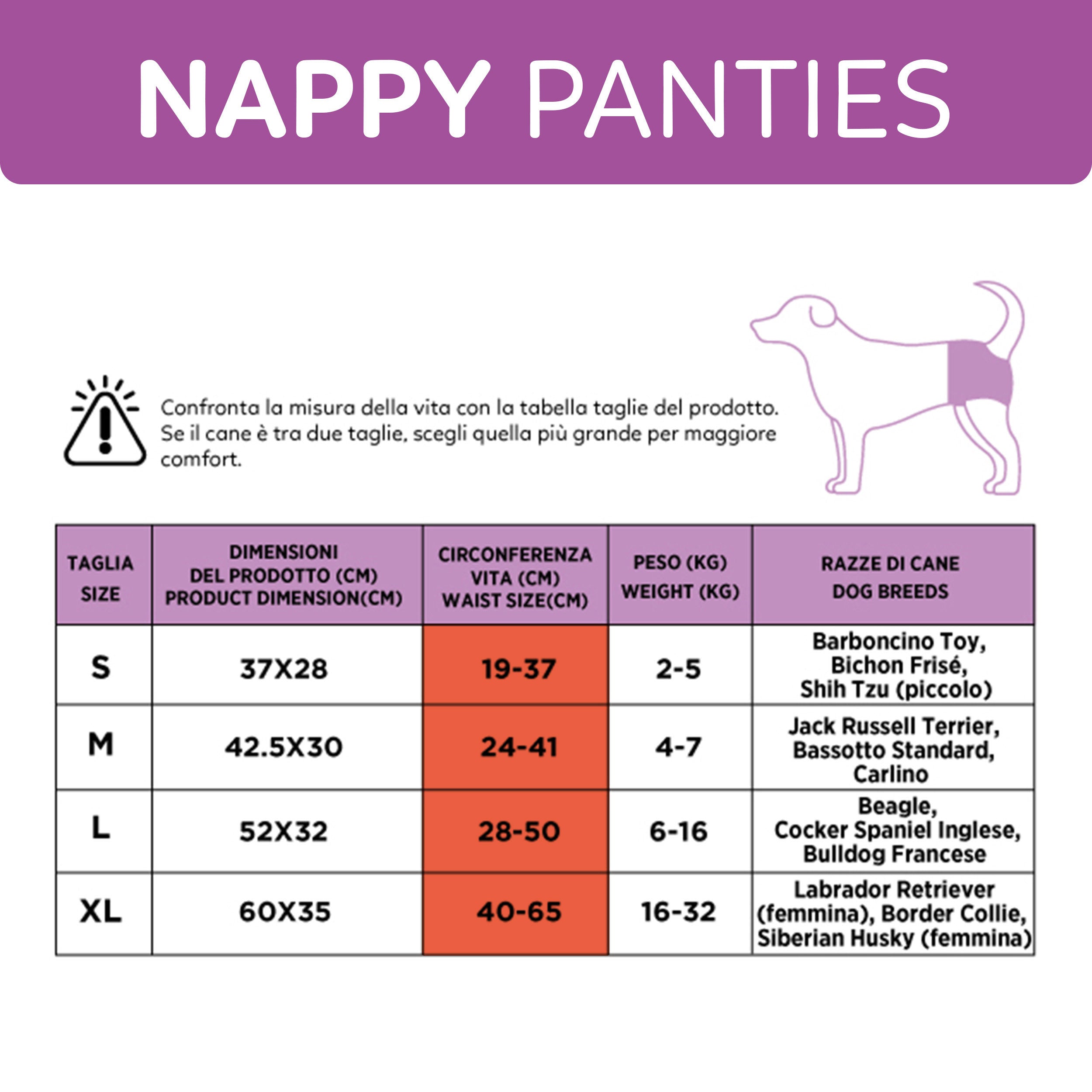 AQPET FRIENDS Nappy Panties Pannolini A Fascia Per Cani Femmina 30 Pezzi Assorbenti Igiene Quotidiana