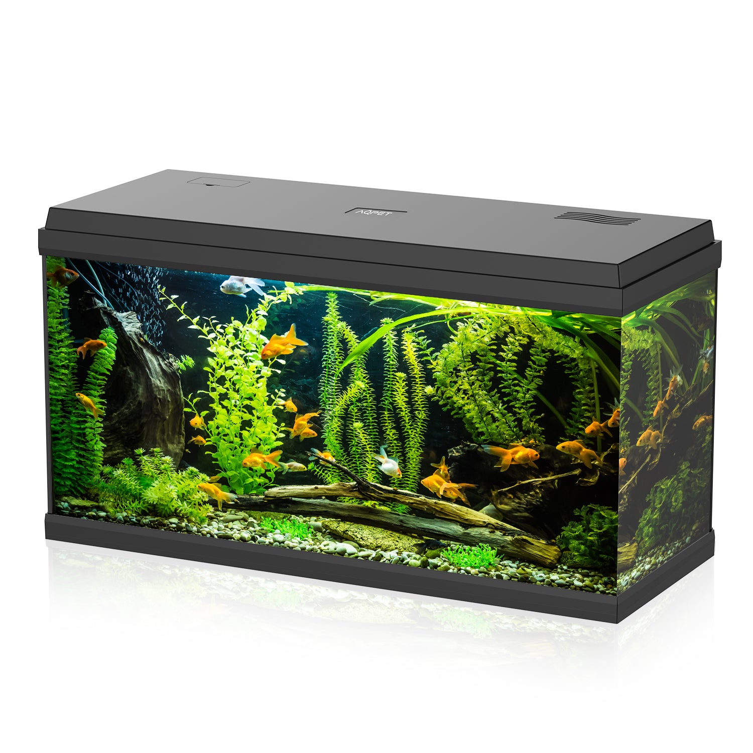 AQPET ACQUARIO SIMPLY LED 100 NERO COMPLETO DOPPIA LUCE FILTRO E RISCALDATORE - 80X32X45 H CM
