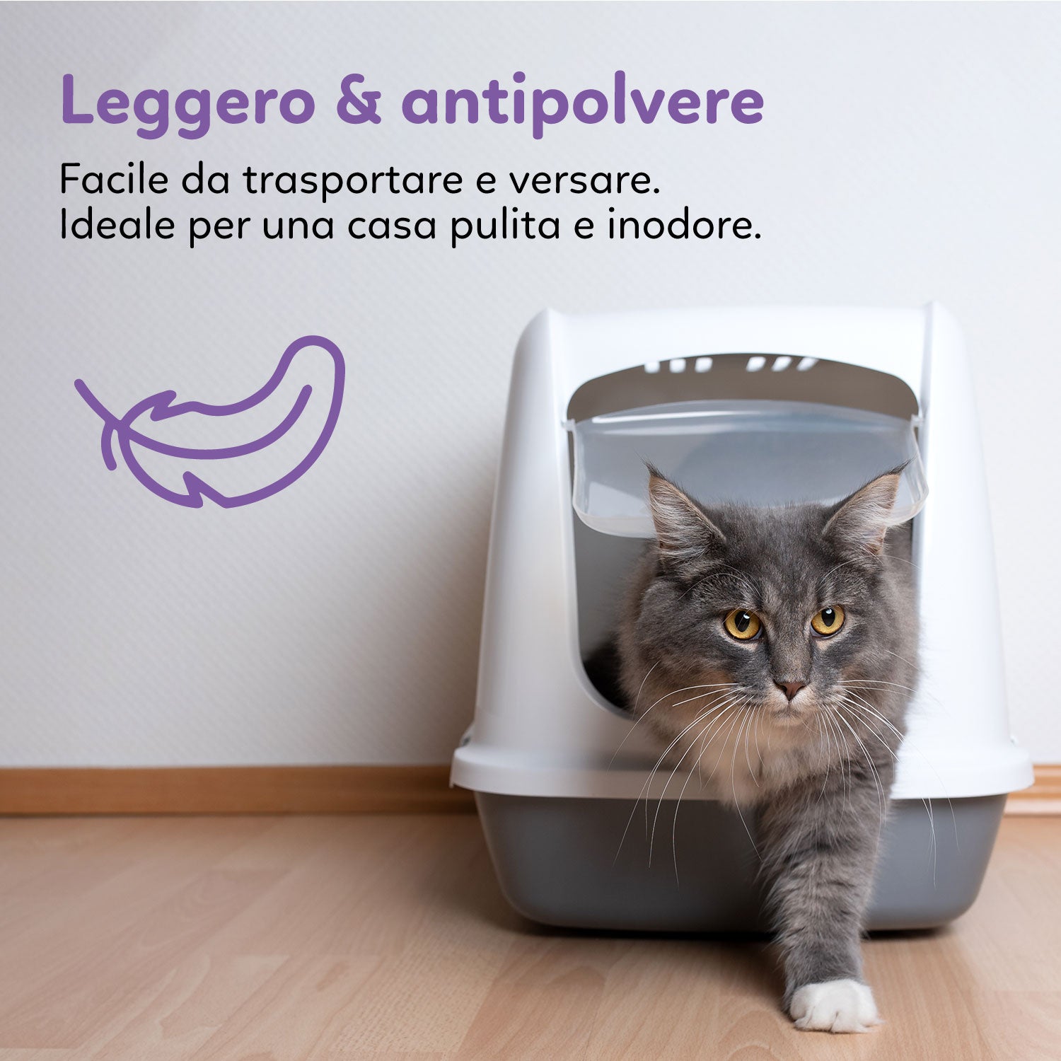 AQPET FRIENDS LETTIERA IN SILICIO CATTY PROFUMAZIONE LAVANDA