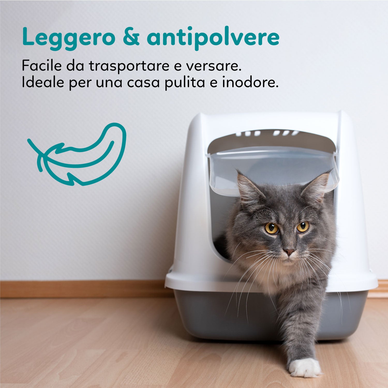 AQPET FRIENDS LETTIERA IN SILICIO CATTY PROFUMAZIONE TALCO
