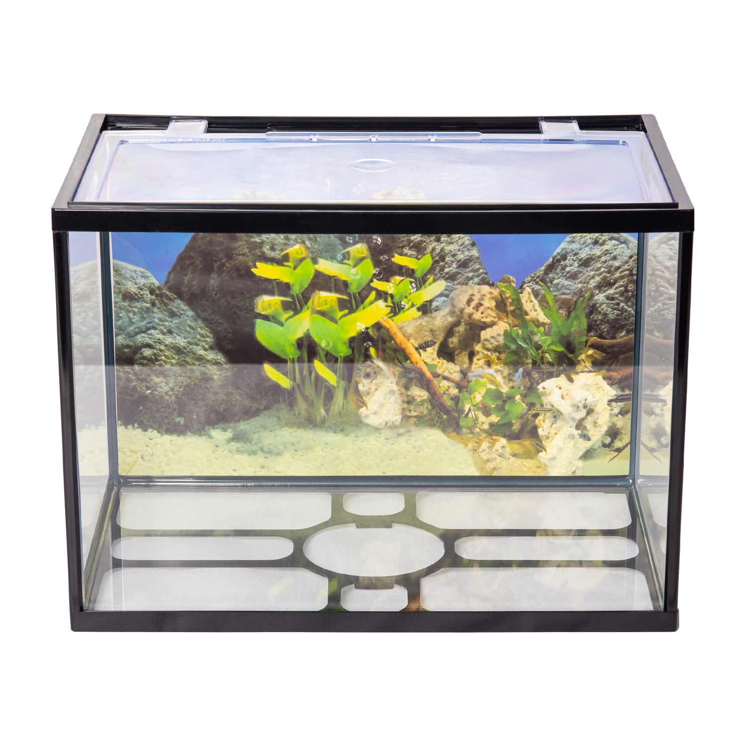 AQPET ACQUARIO ONE MINI IN VETRO 20 LT 36x22x26h