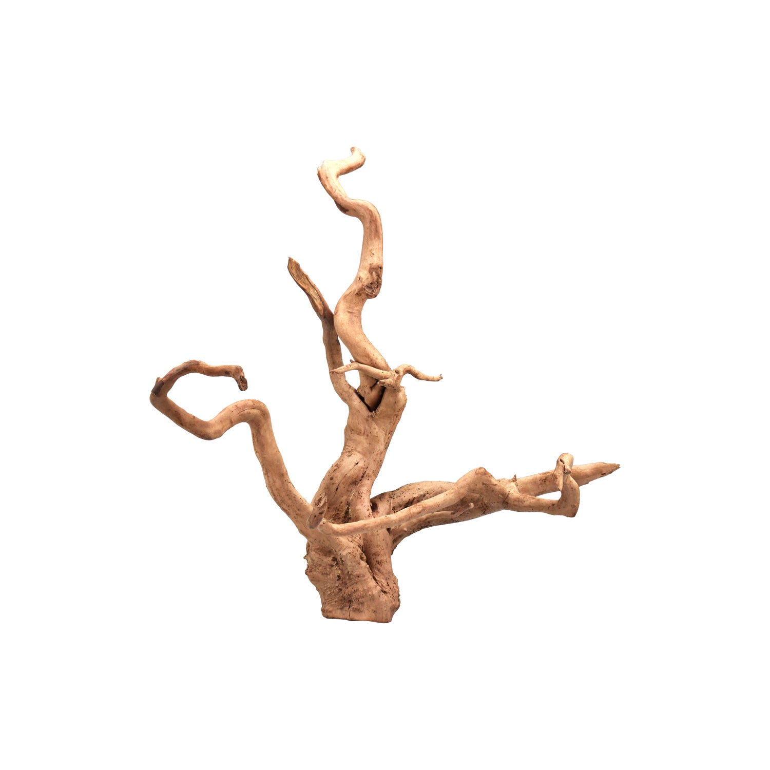 AQPET ZEN WOOD ROOT WOOD ROOT SELECT