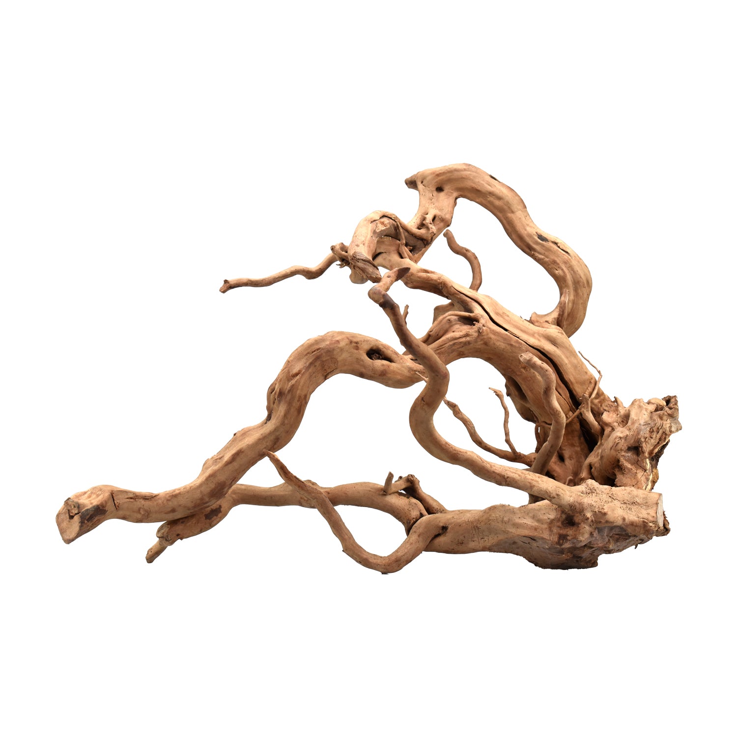 AQPET ZEN WOOD ROOT WOOD ROOT SELECT