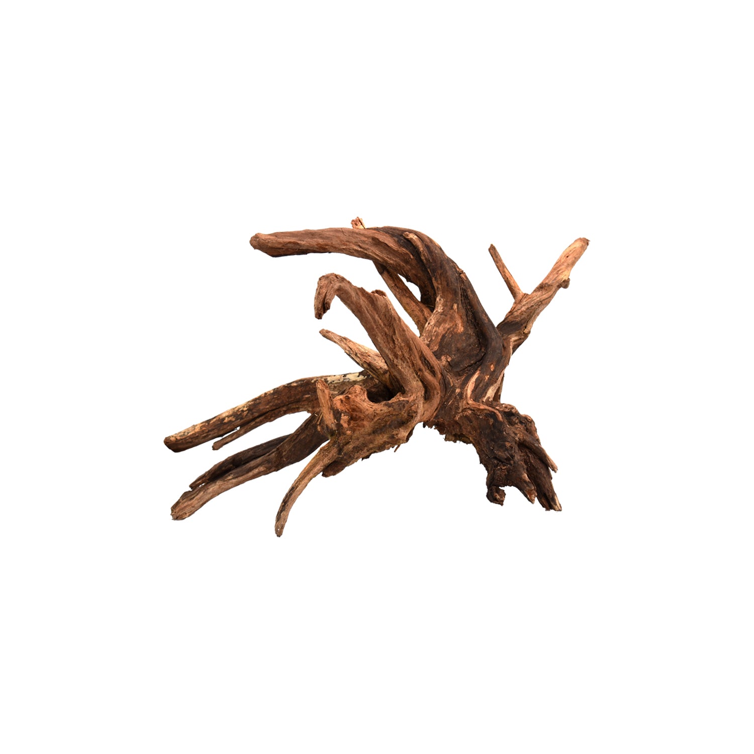 AQPET ZEN WOOD DRIFT RADICE LEGNO