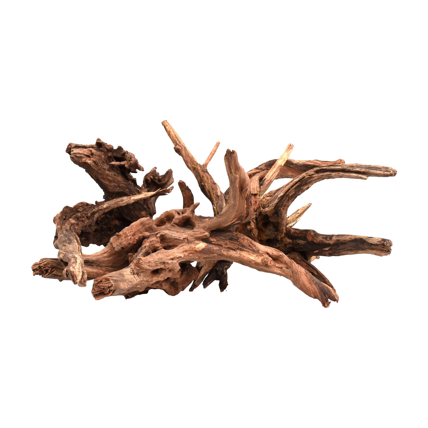 AQPET ZEN WOOD DRIFT RADICE LEGNO