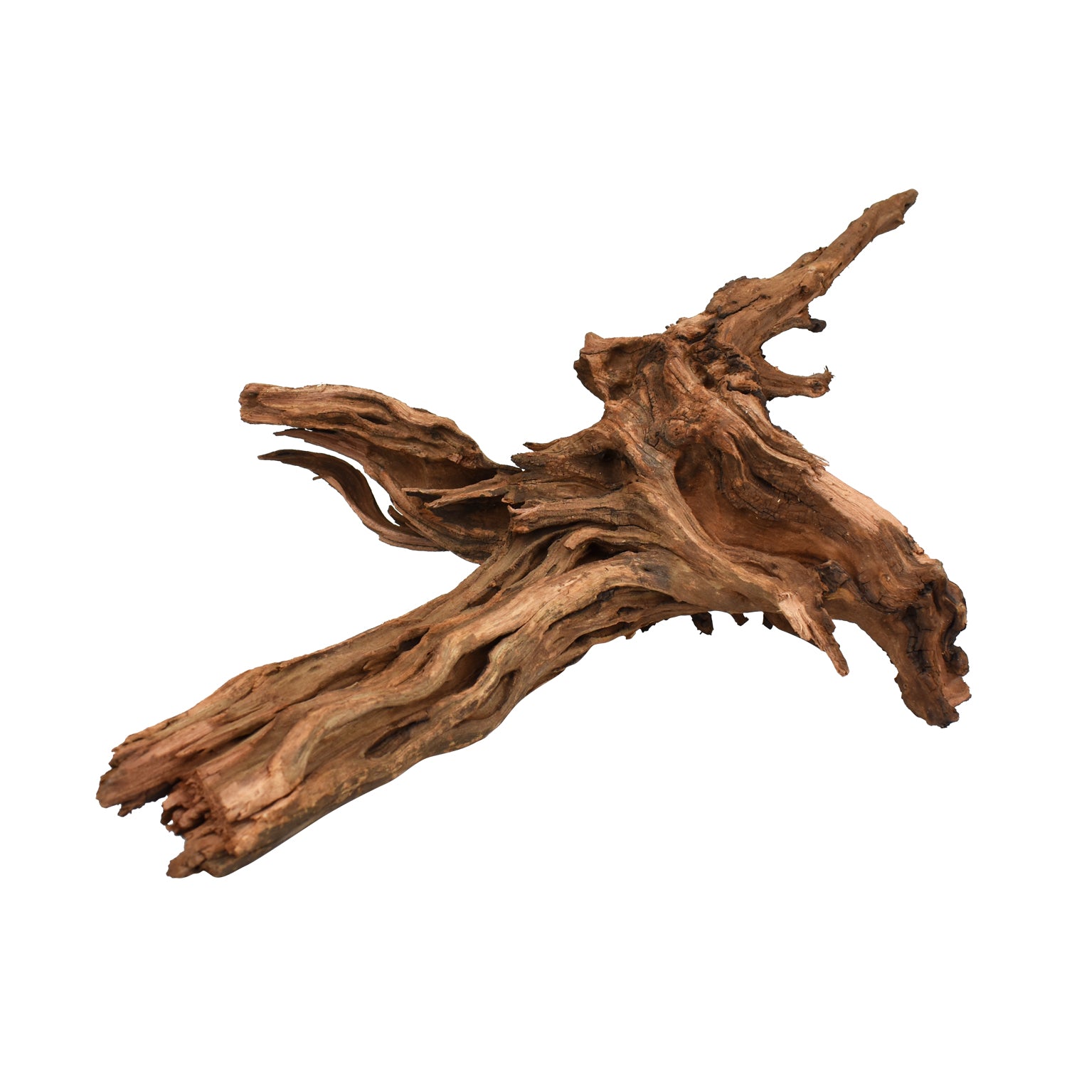 AQPET ZEN WOOD DRIFT RADICE LEGNO