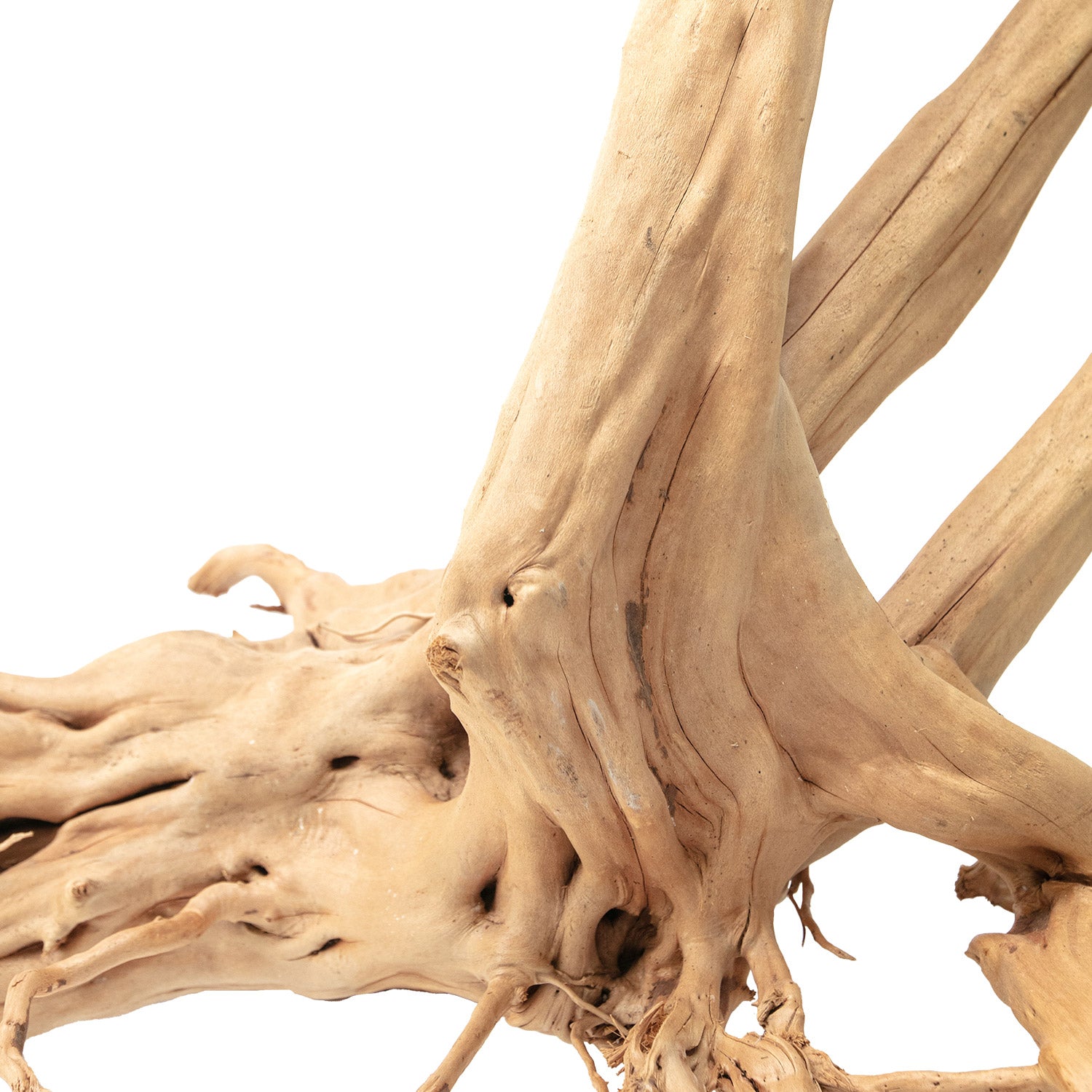 AQPET ZEN WOOD STUMPS