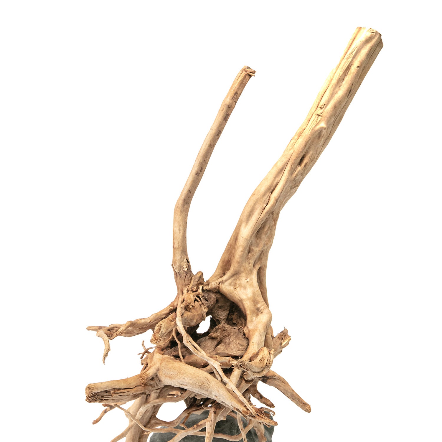 AQPET ZEN WOOD STUMPS