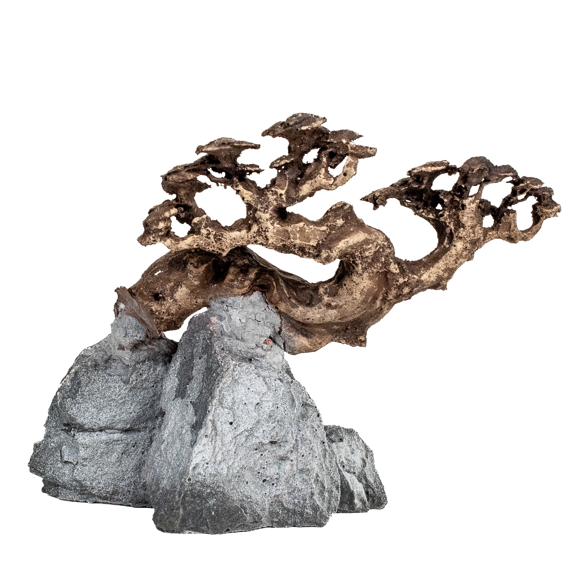 AQPET ZEN BONSAI IN RESINA 10