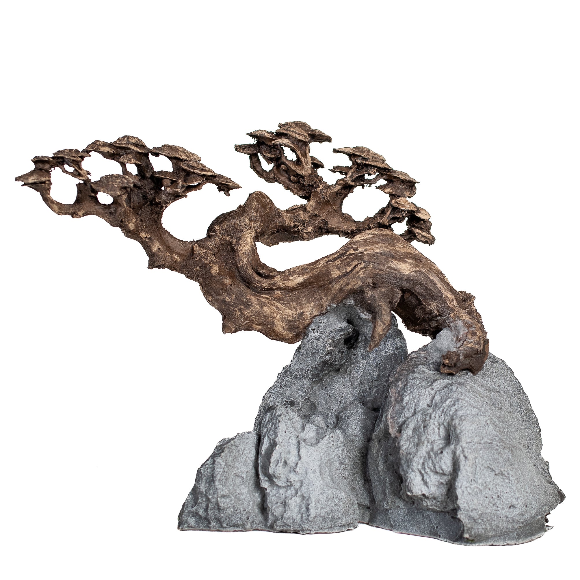 AQPET ZEN BONSAI IN RESINA 10