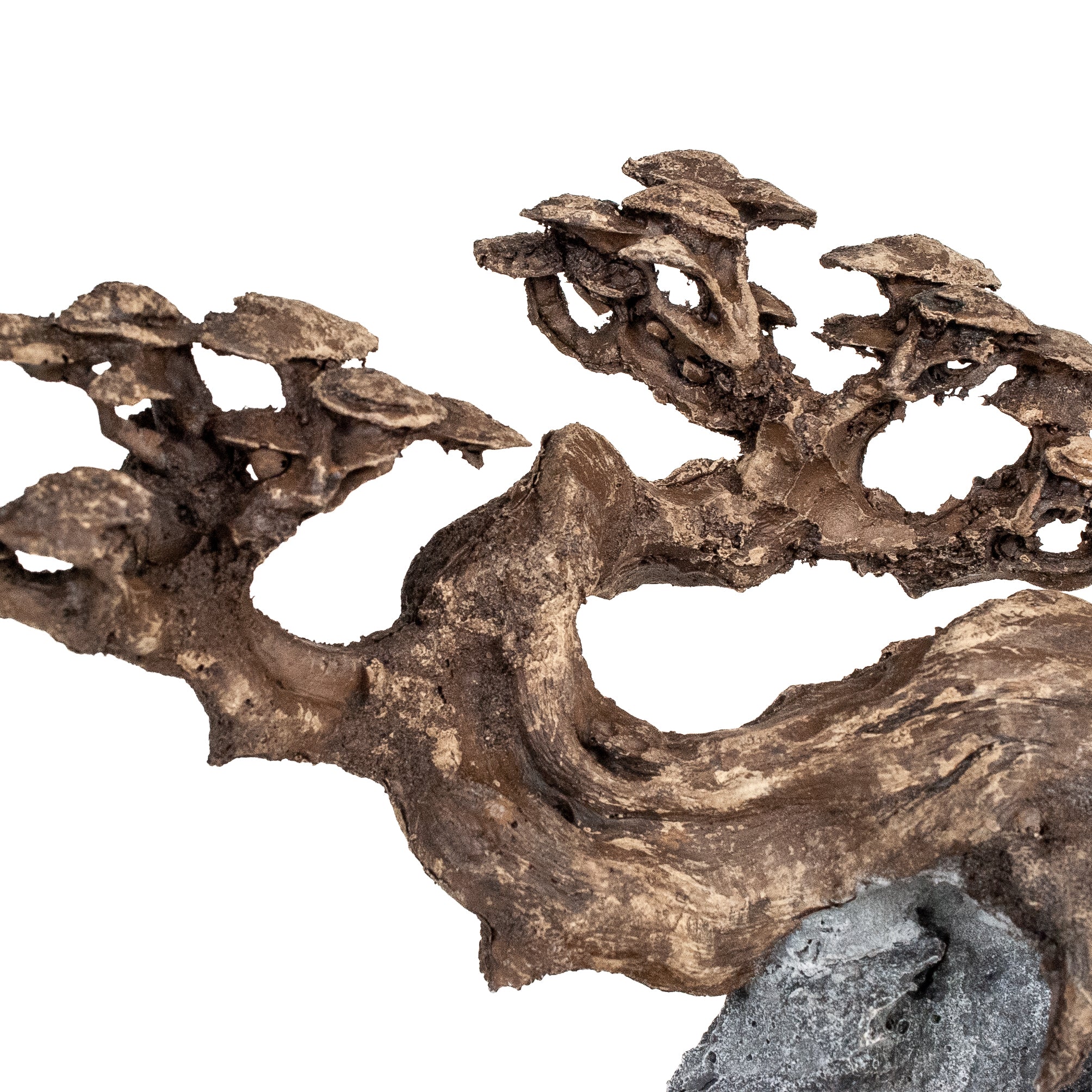 AQPET ZEN BONSAI IN RESIN 10