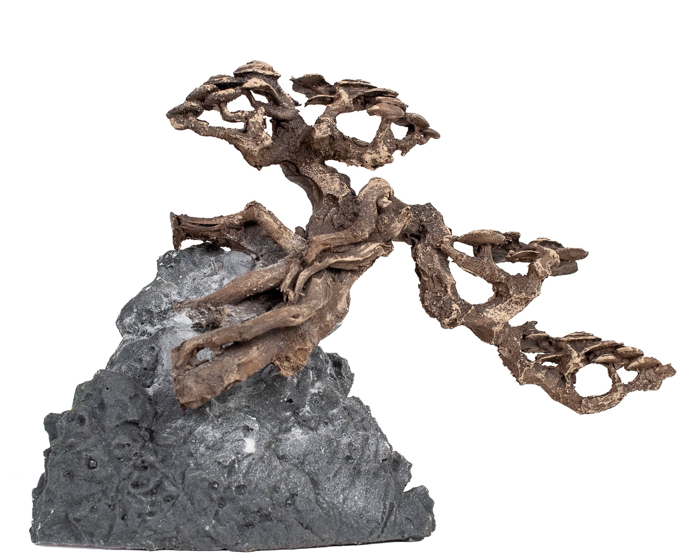 AQPET ZEN BONSAI IN RESINA 11