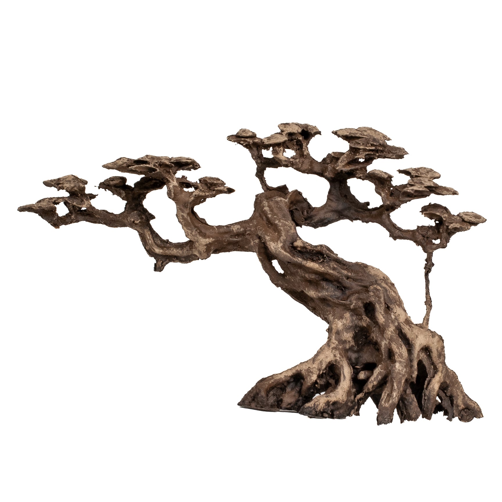 AQPET ZEN BONSAI IN RESINA 12