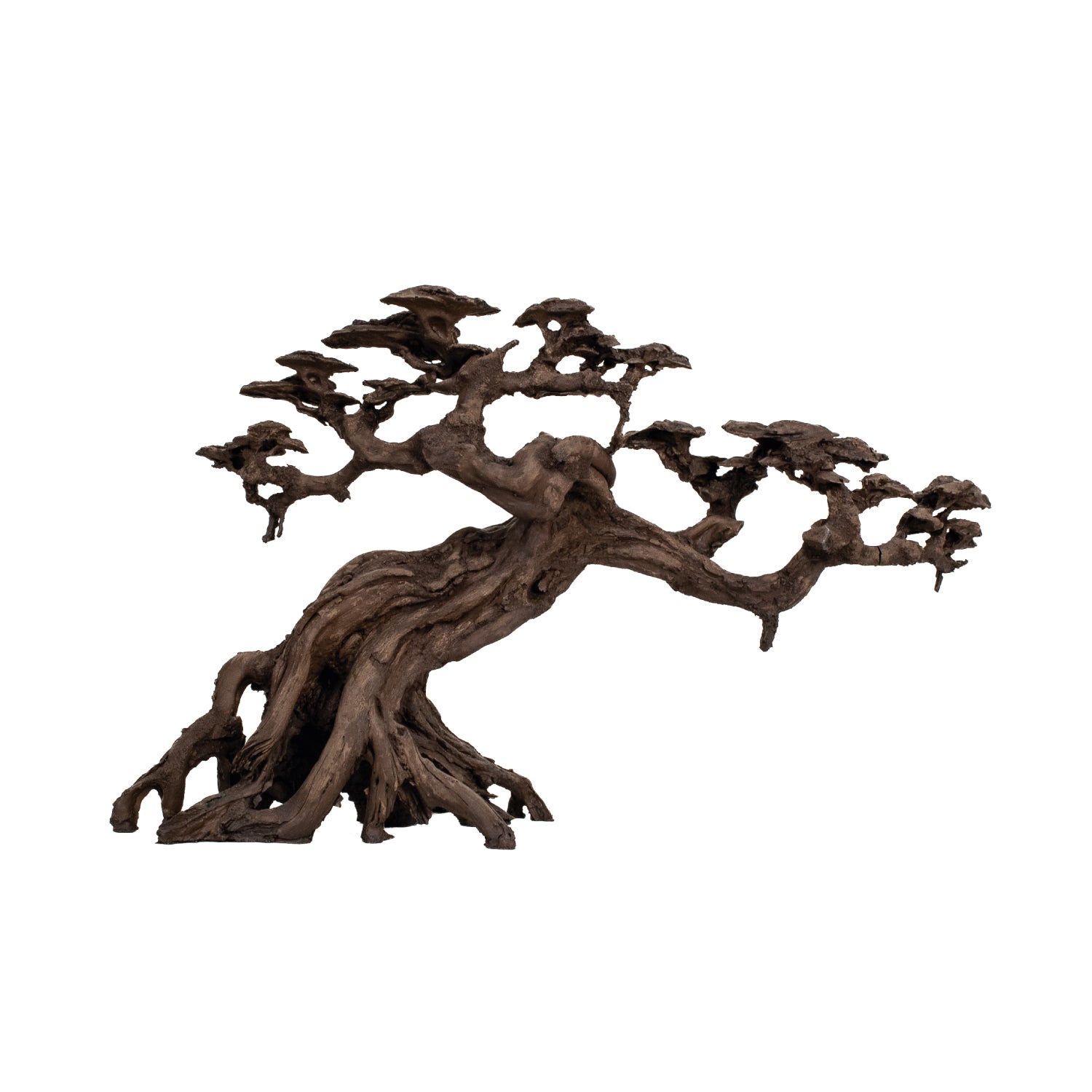 AQPET ZEN BONSAI IN RESINA 14