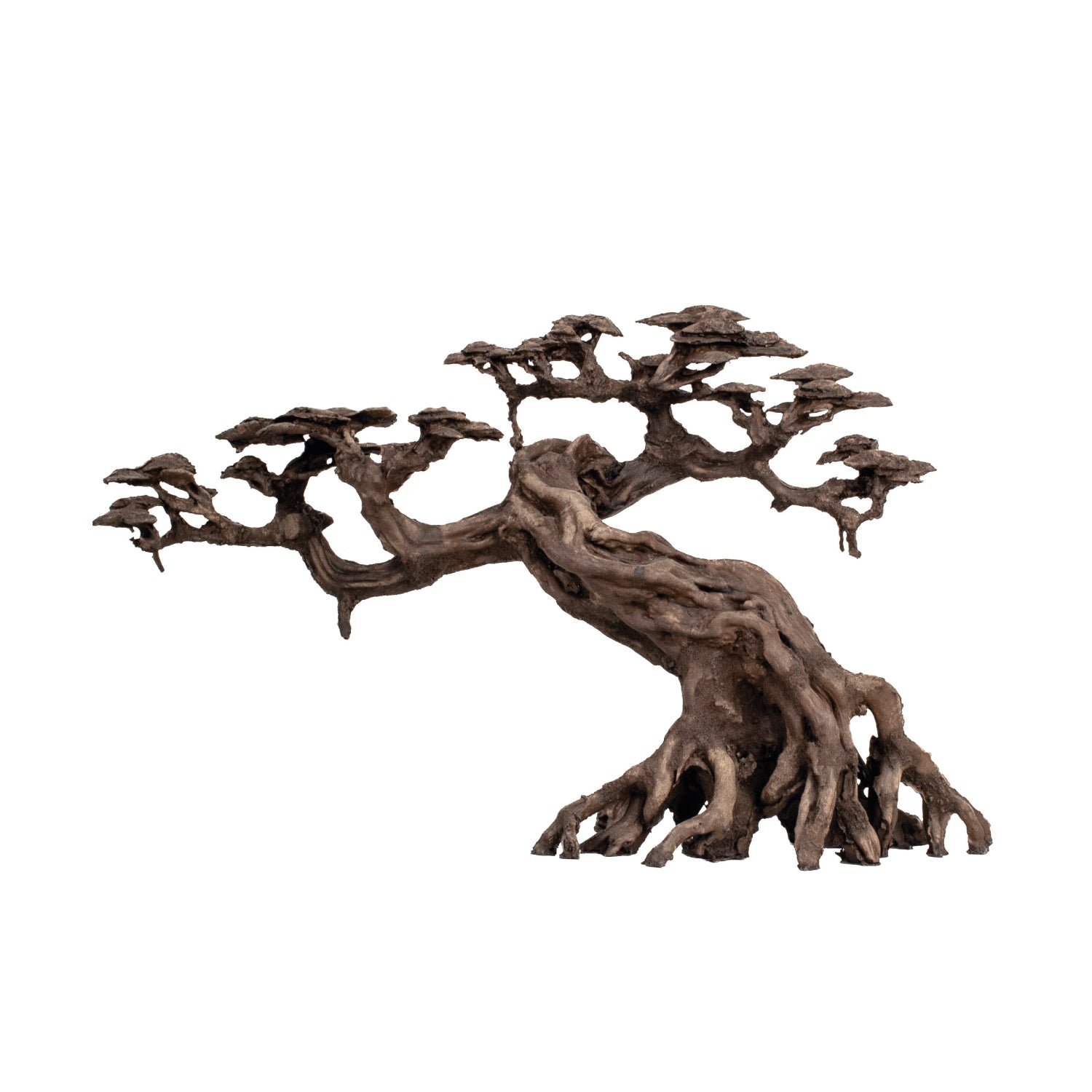 AQPET ZEN BONSAI IN RESINA 14