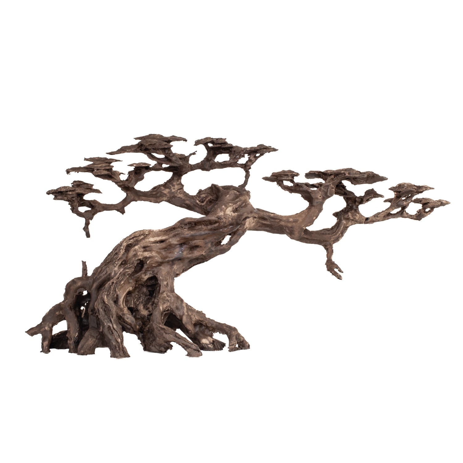 AQPET ZEN BONSAI IN RESINA 15