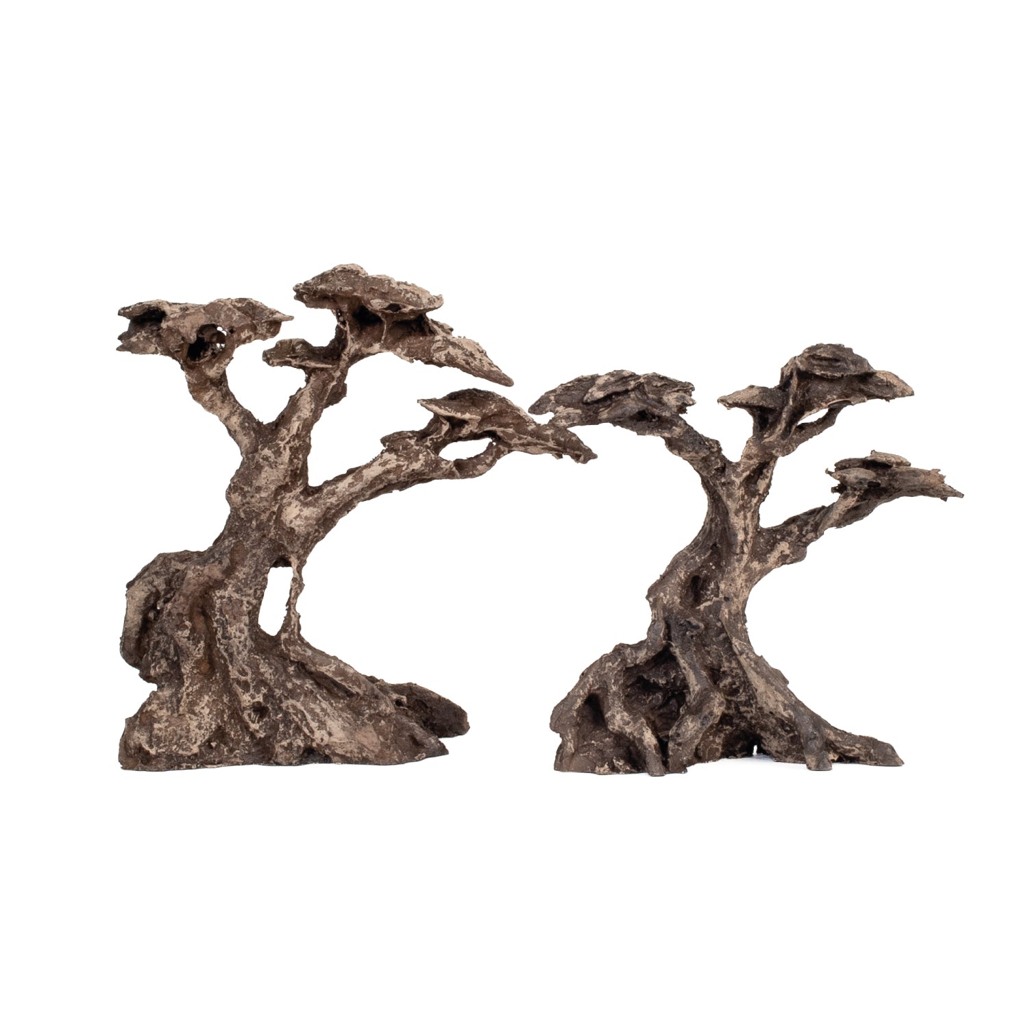 AQPET ZEN BONSAI IN RESINA 16