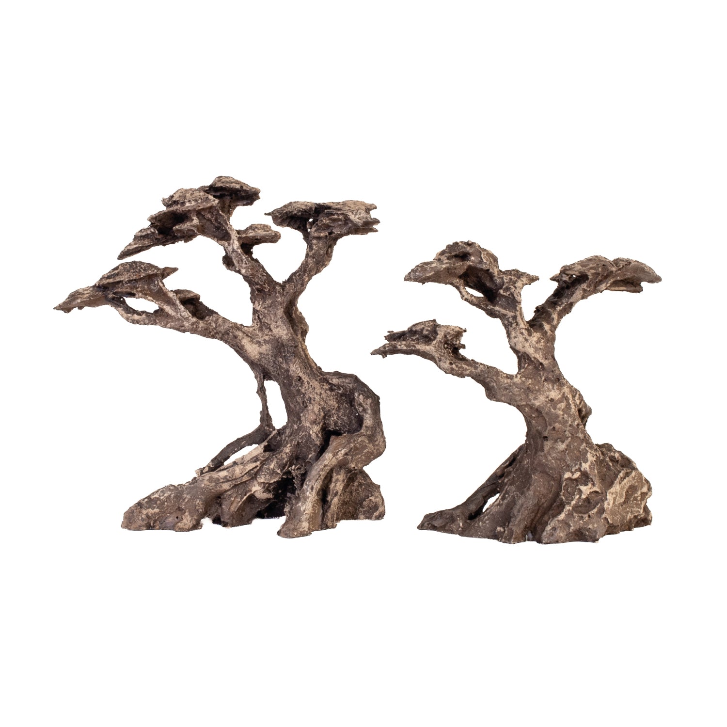 AQPET ZEN BONSAI IN RESINA 16
