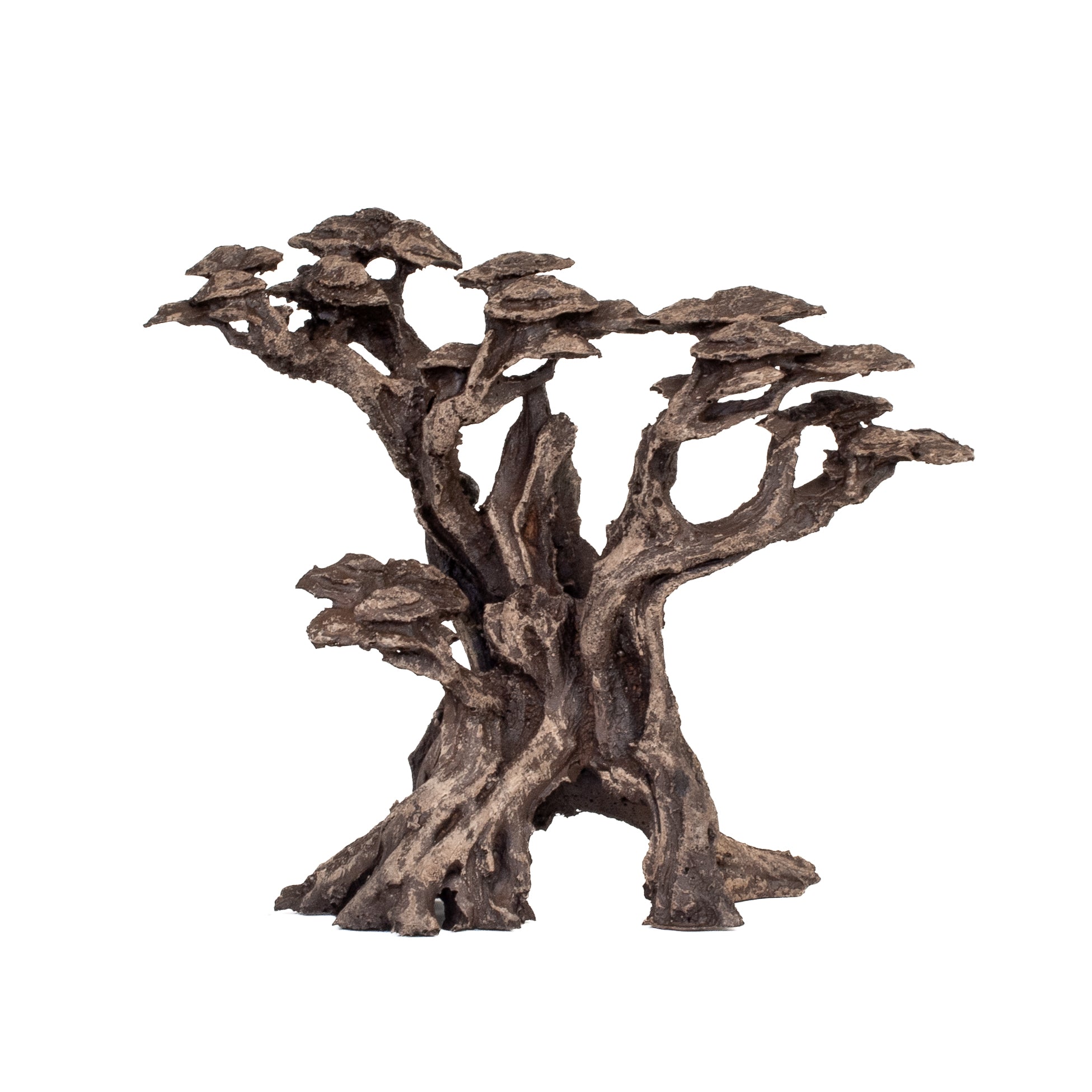 AQPET ZEN BONSAI IN RESINA 17